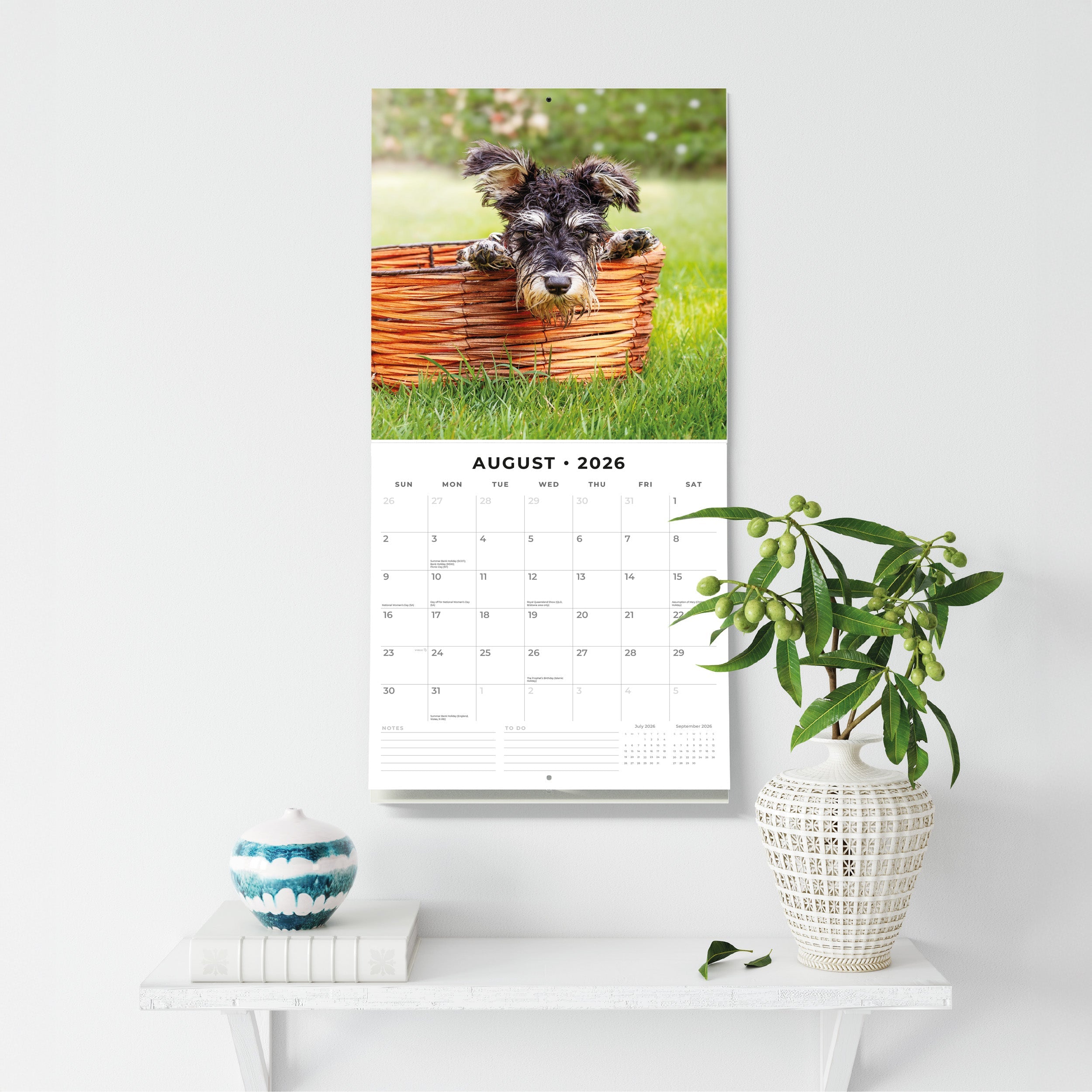 2026 Miniature Schnauzer - Square Wall Calendar