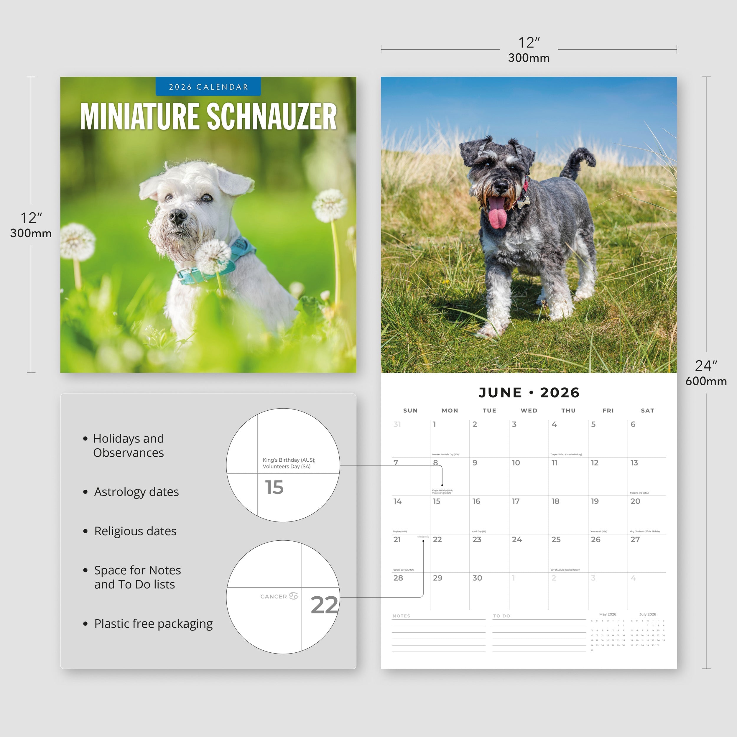 2026 Miniature Schnauzer - Square Wall Calendar