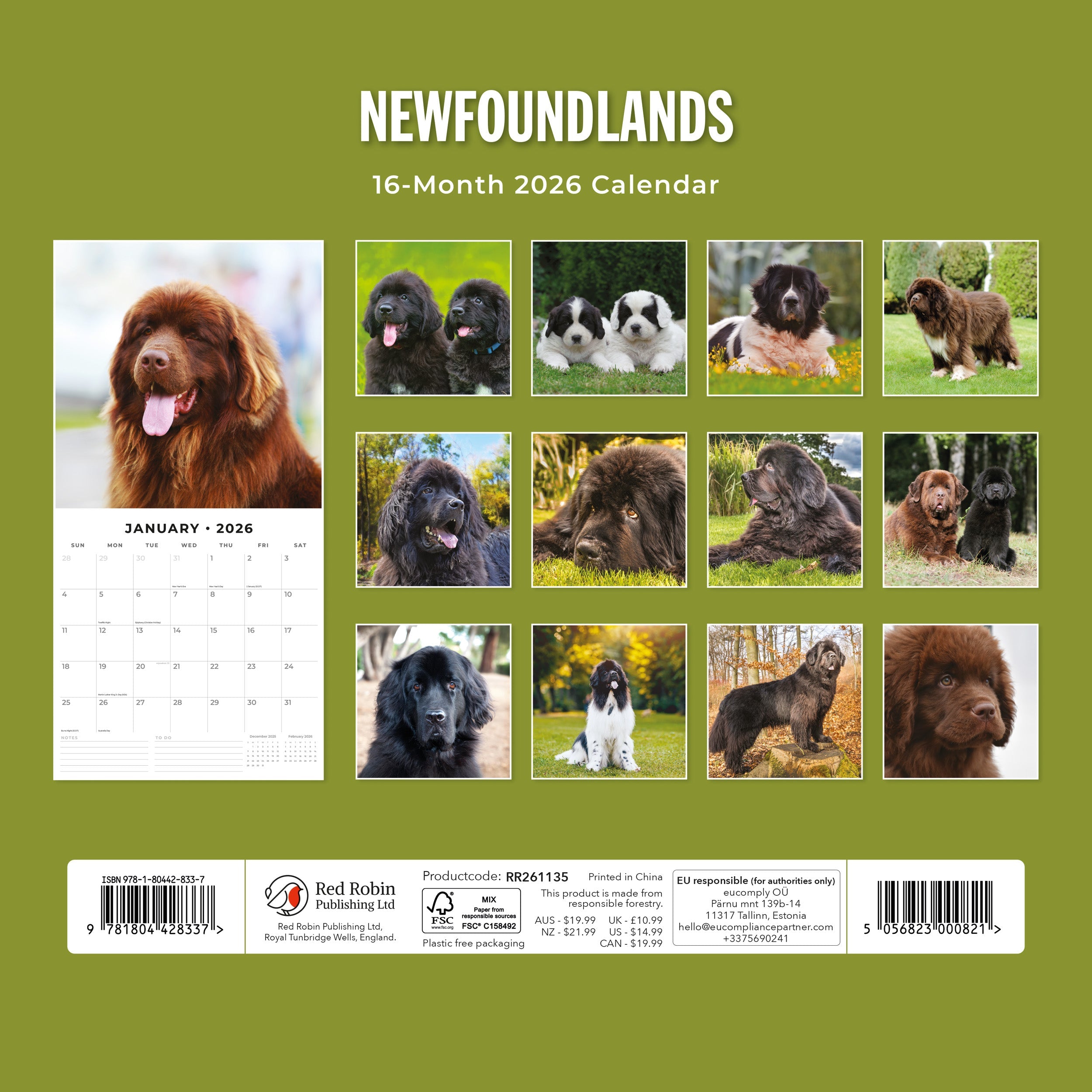 2026 Newfoundlands - Square Wall Calendar