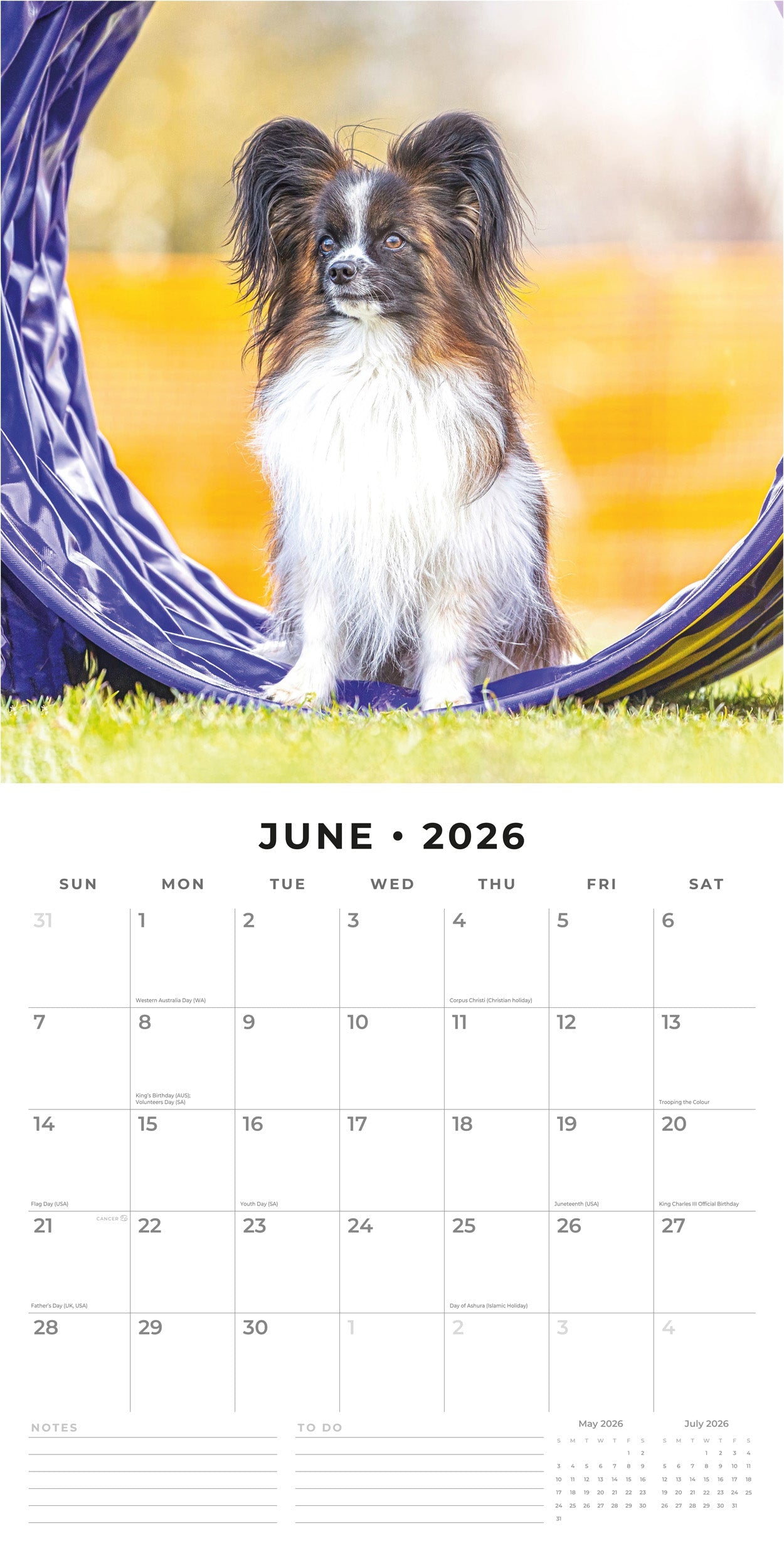 2026 Papillions - Square Wall Calendar