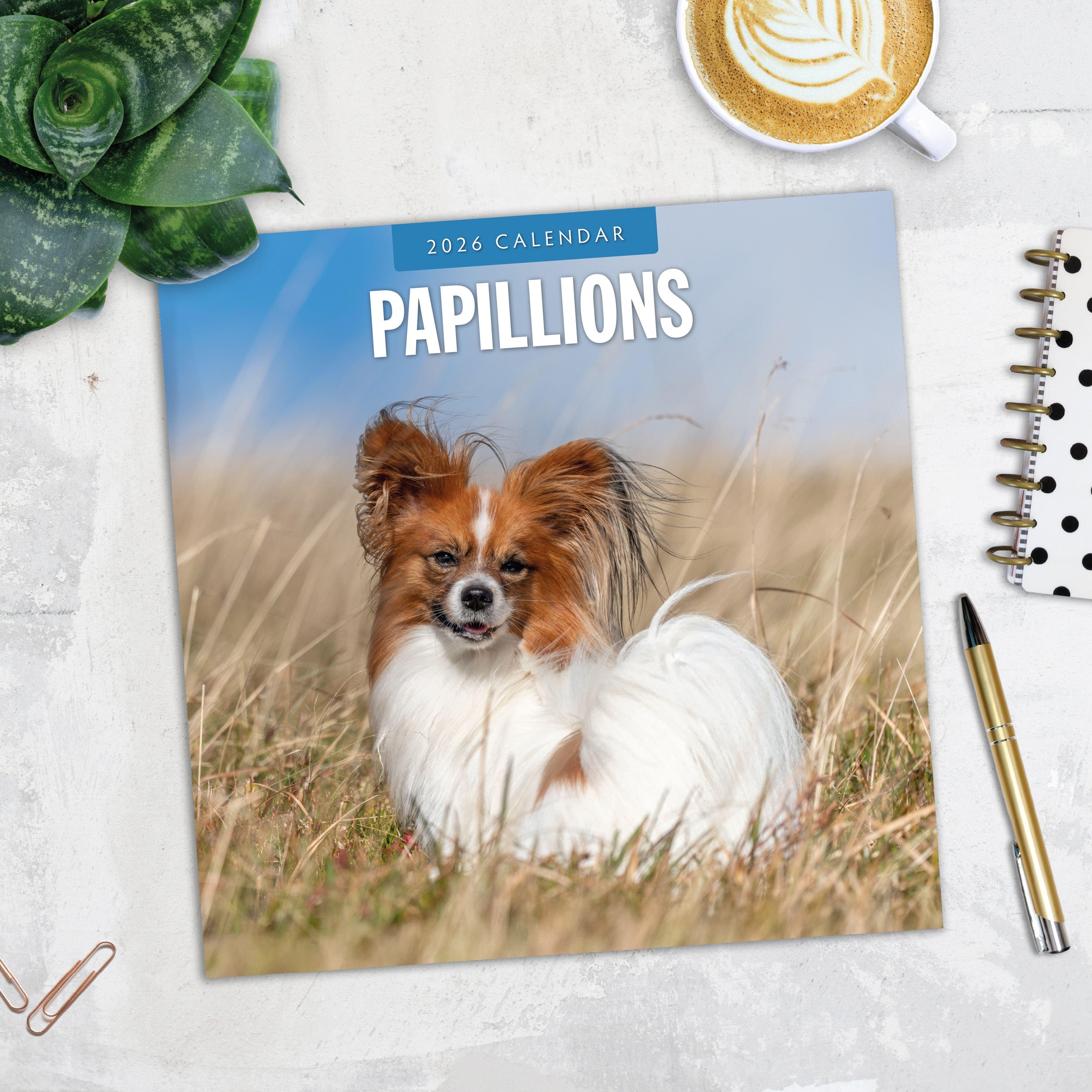 2026 Papillions - Square Wall Calendar