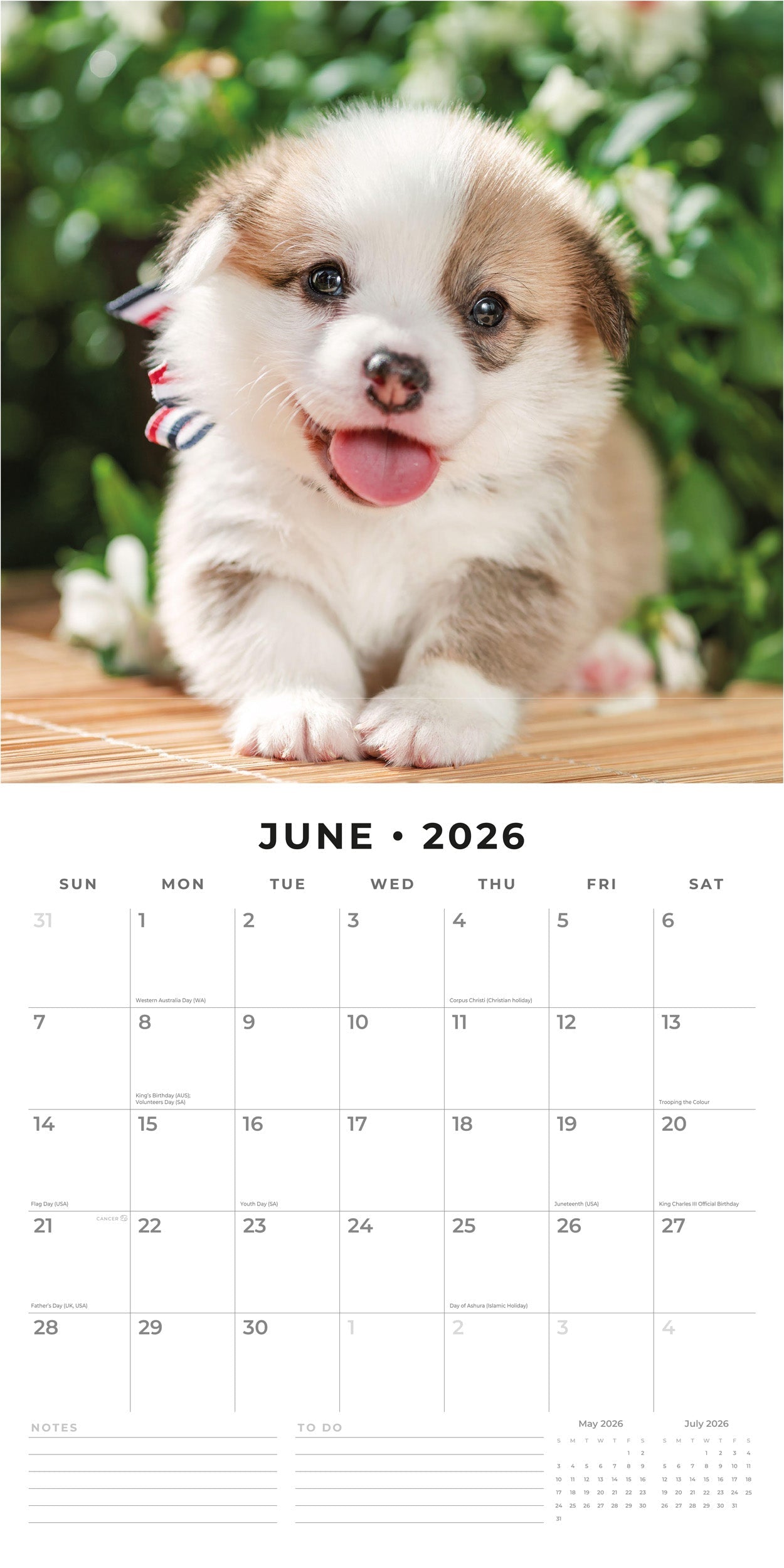 2026 Pembroke Welsh Corgis - Square Wall Calendar