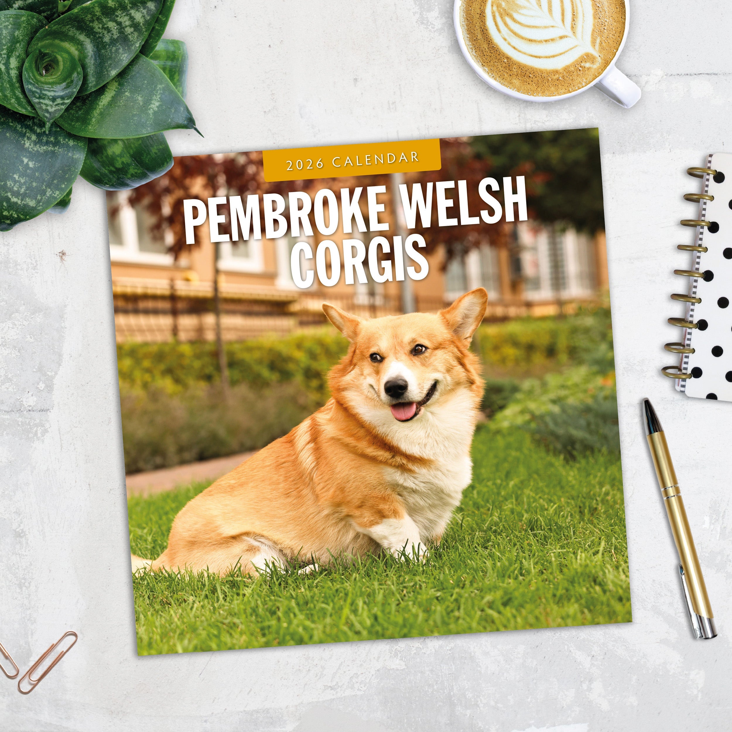 2026 Pembroke Welsh Corgis - Square Wall Calendar