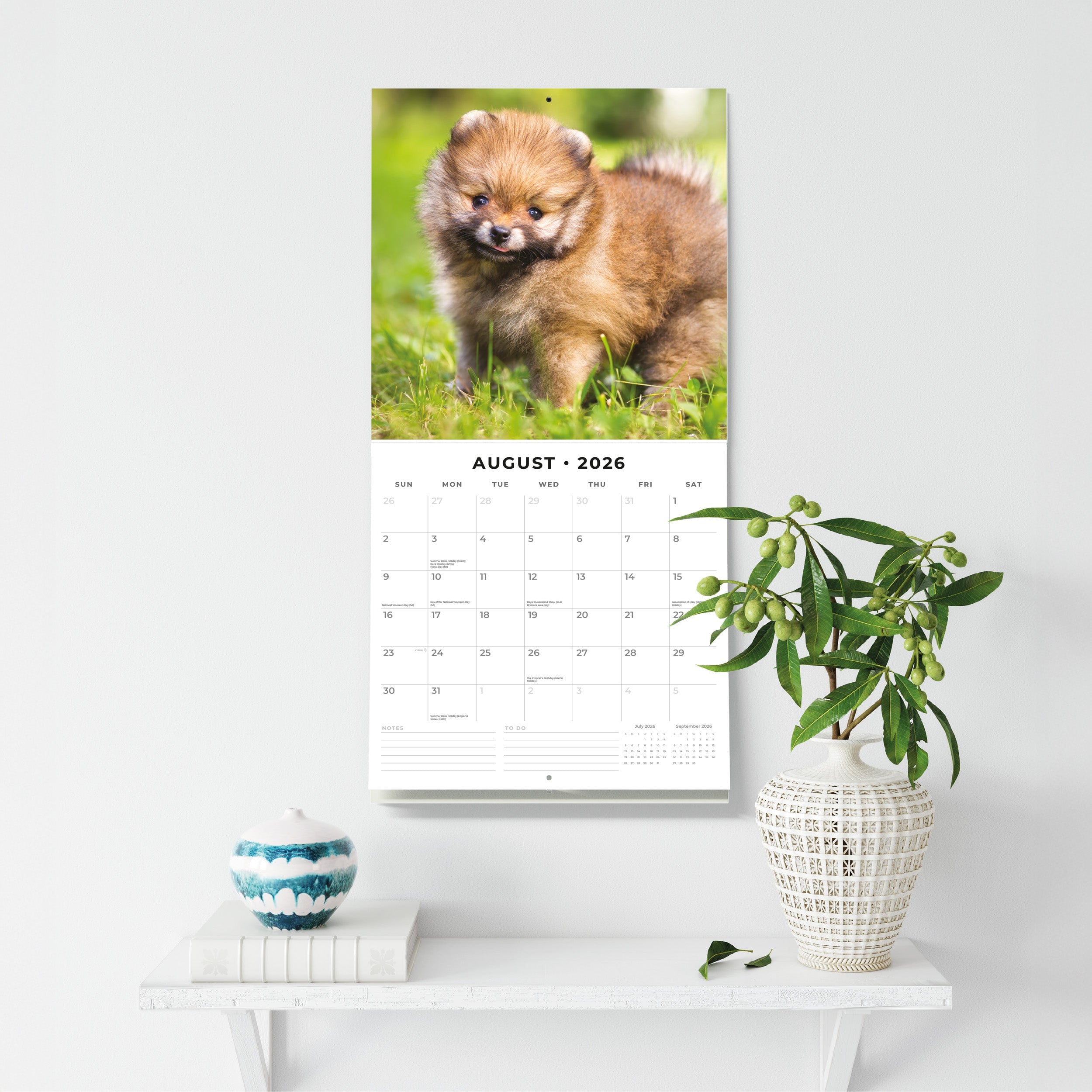 2026 Pomeranians - Square Wall Calendar