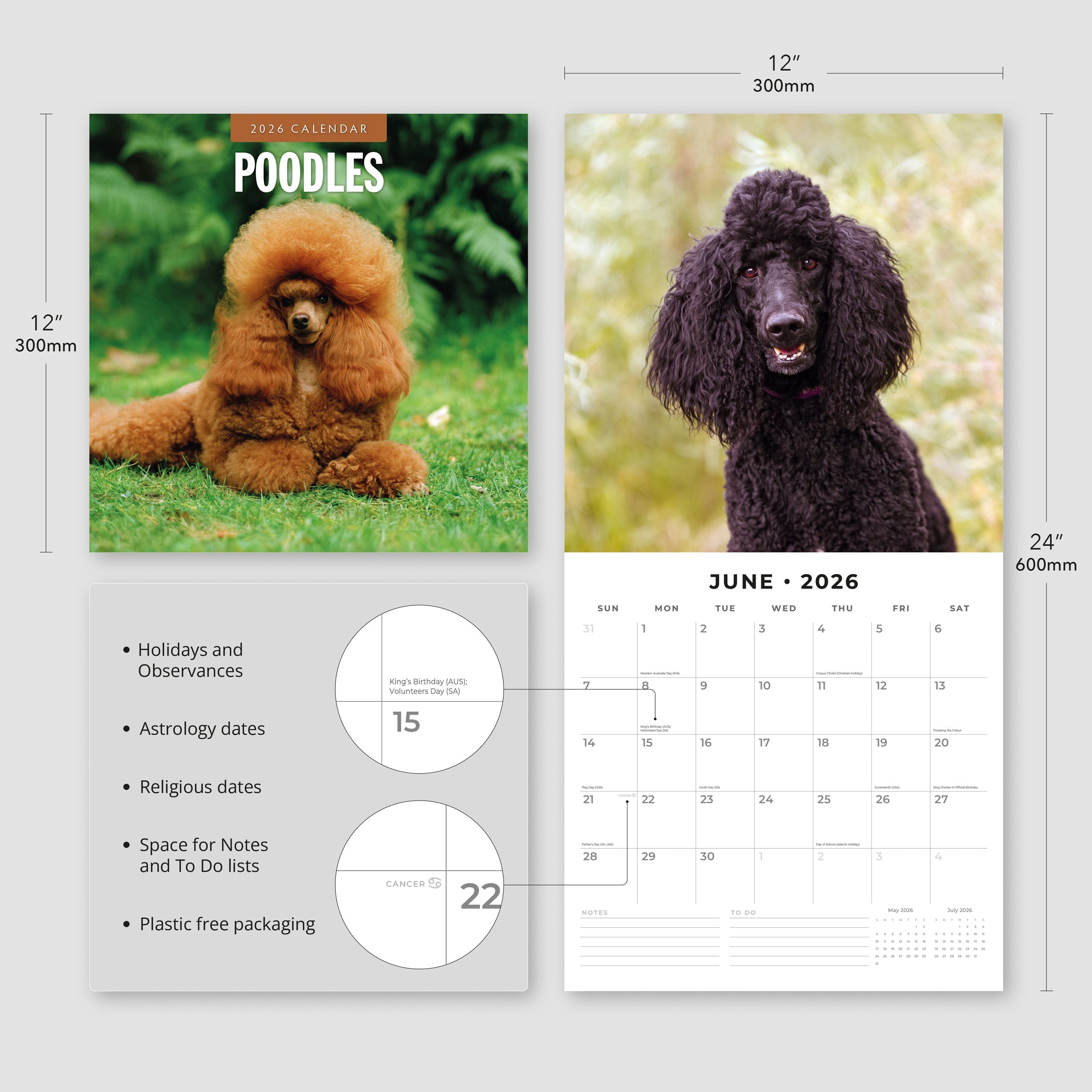 2026 Poodles - Square Wall Calendar