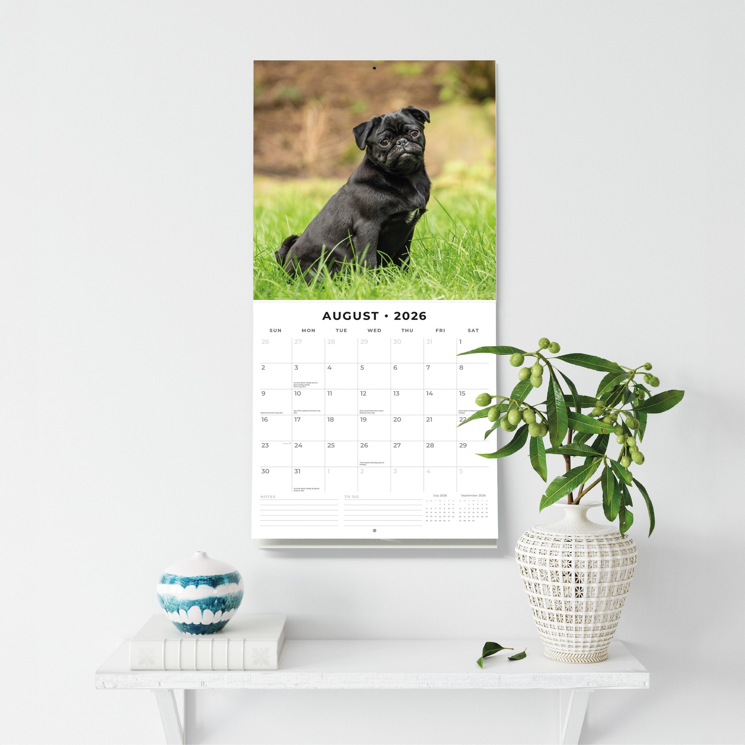 2026 Pugs - Square Wall Calendar