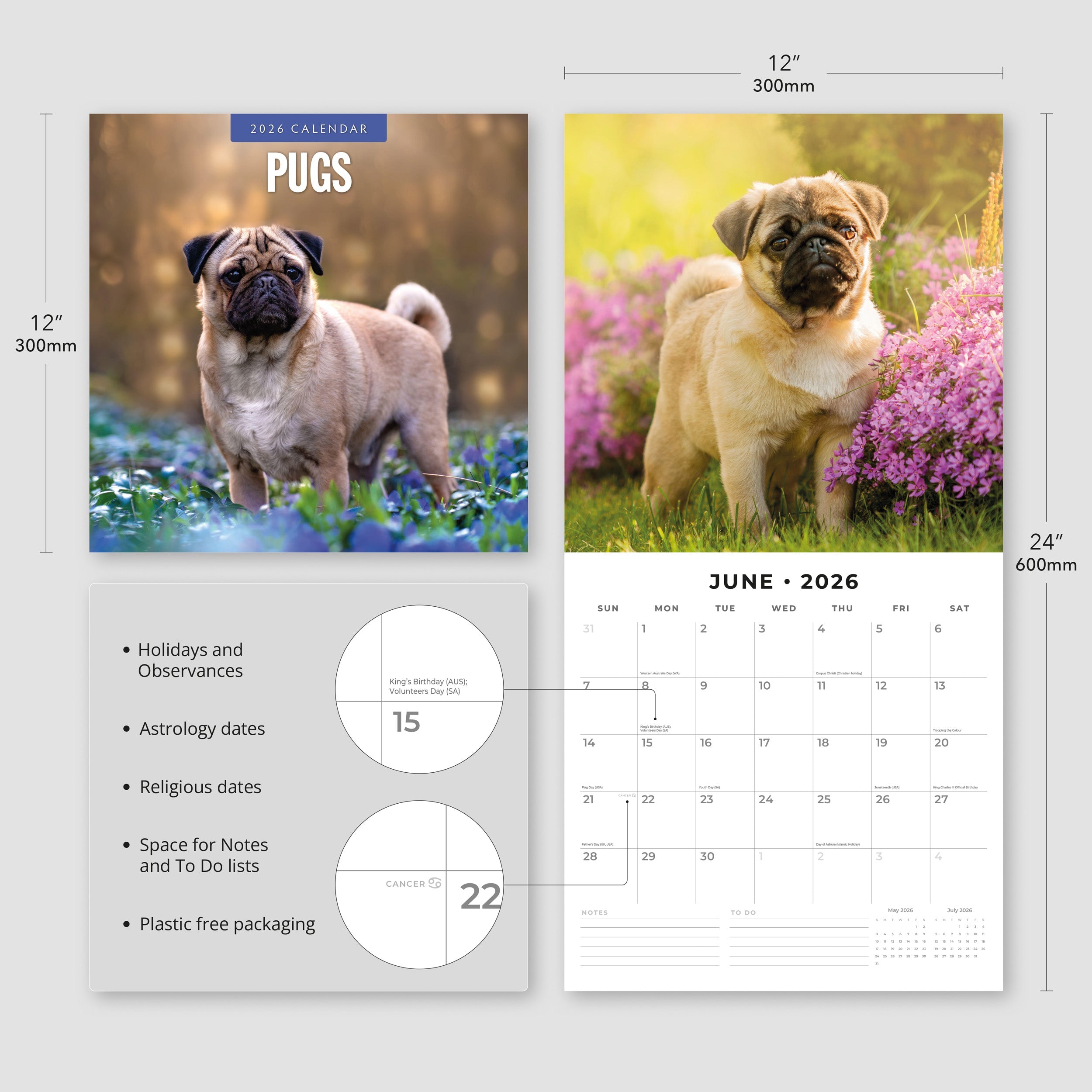 2026 Pugs - Square Wall Calendar