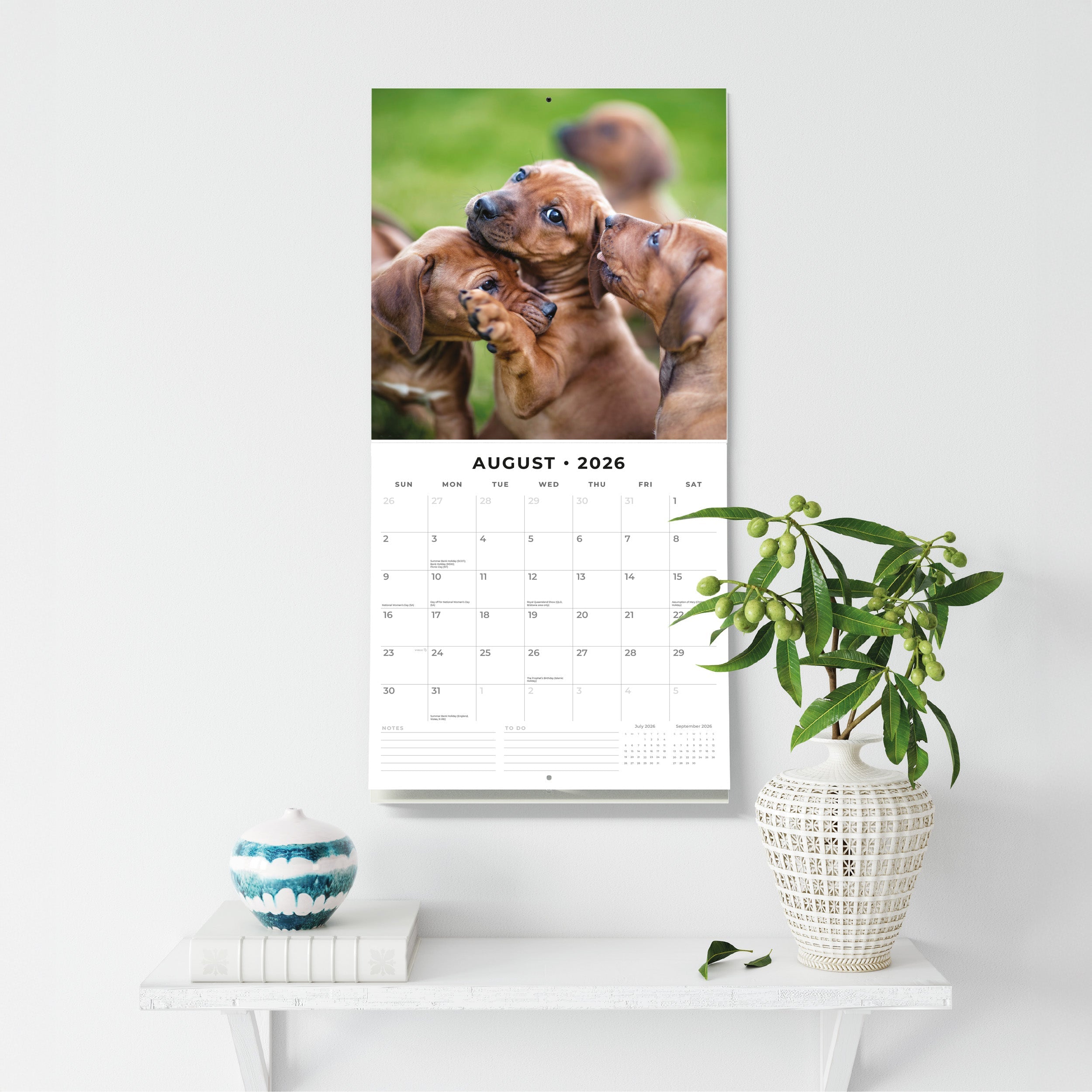 2026 Rhodesian Ridgebacks - Square Wall Calendar