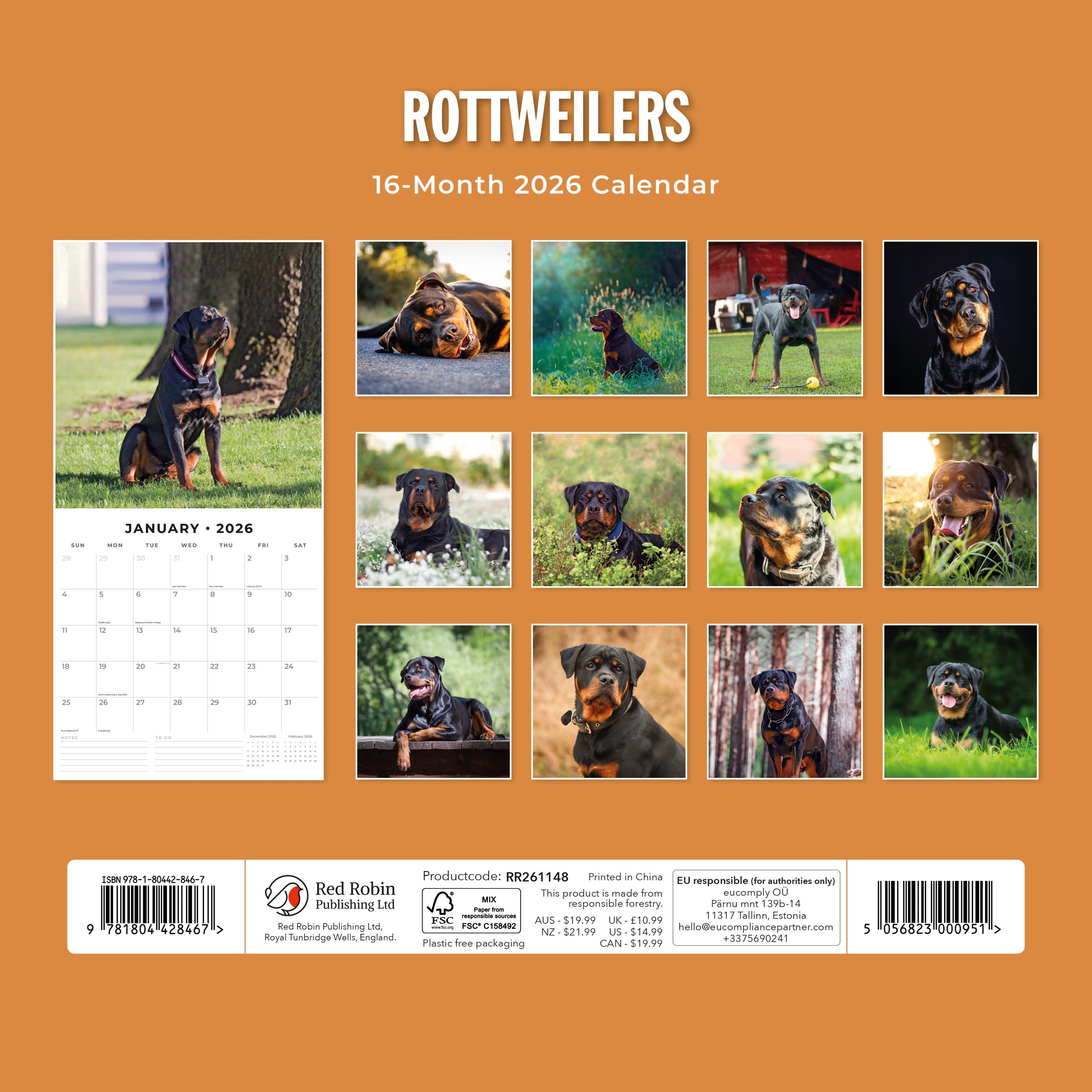 2026 Rottweilers - Square Wall Calendar
