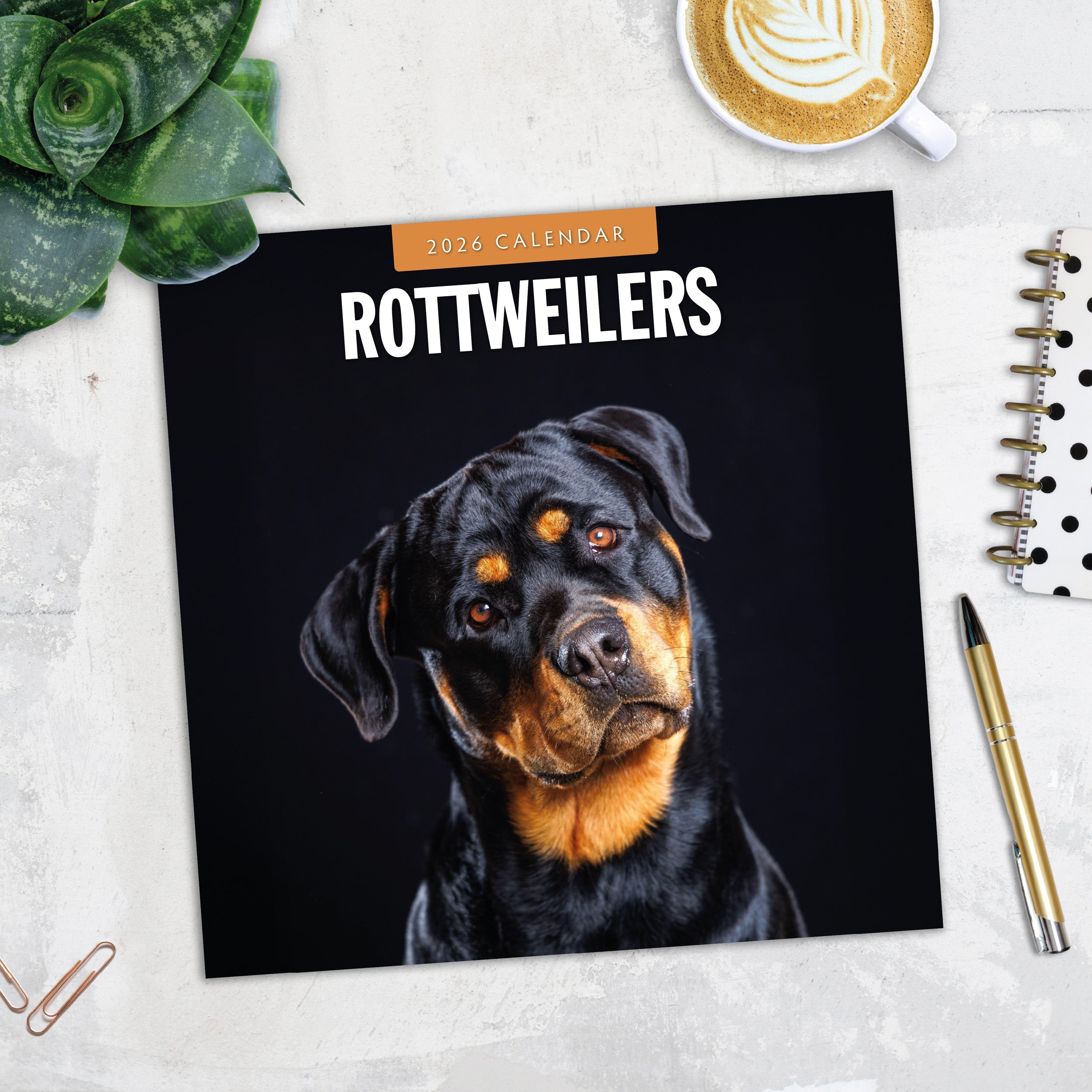 2026 Rottweilers - Square Wall Calendar