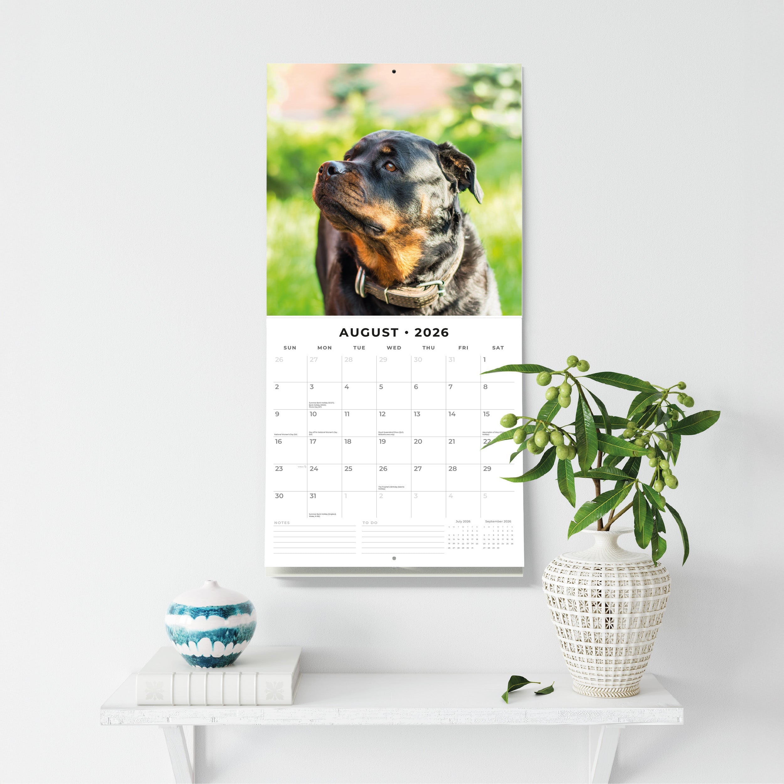 2026 Rottweilers - Square Wall Calendar