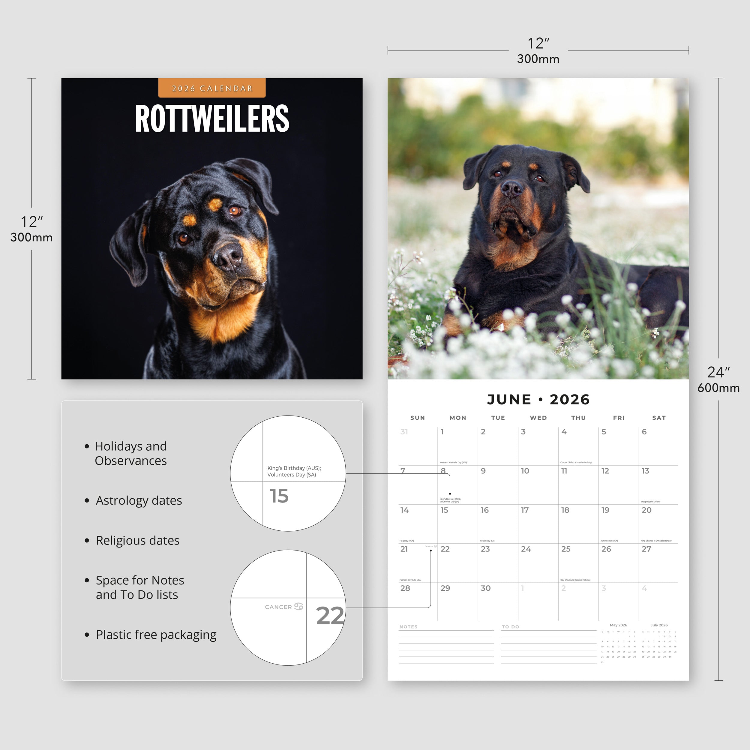 2026 Rottweilers - Square Wall Calendar
