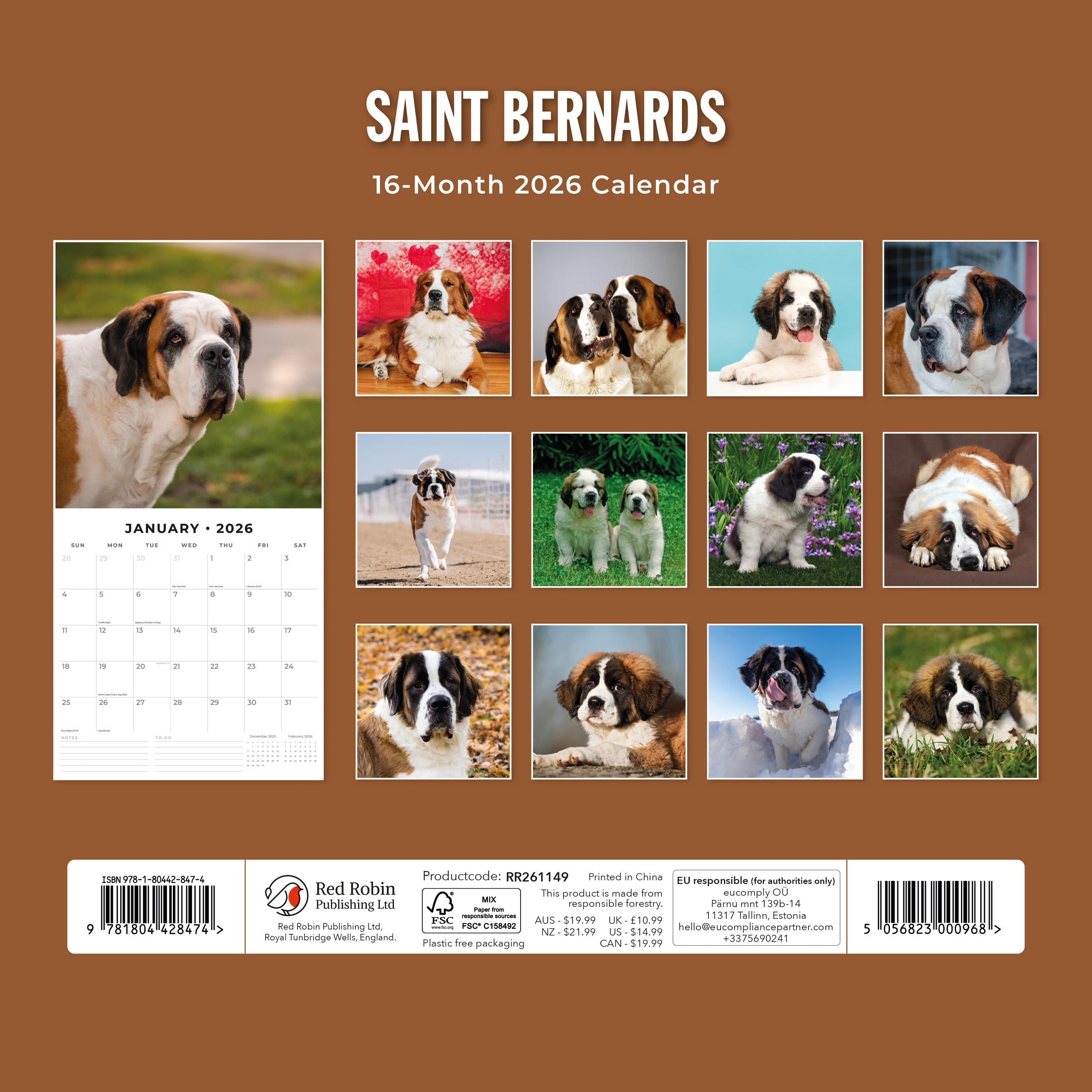 2026 Saint Bernards - Square Wall Calendar