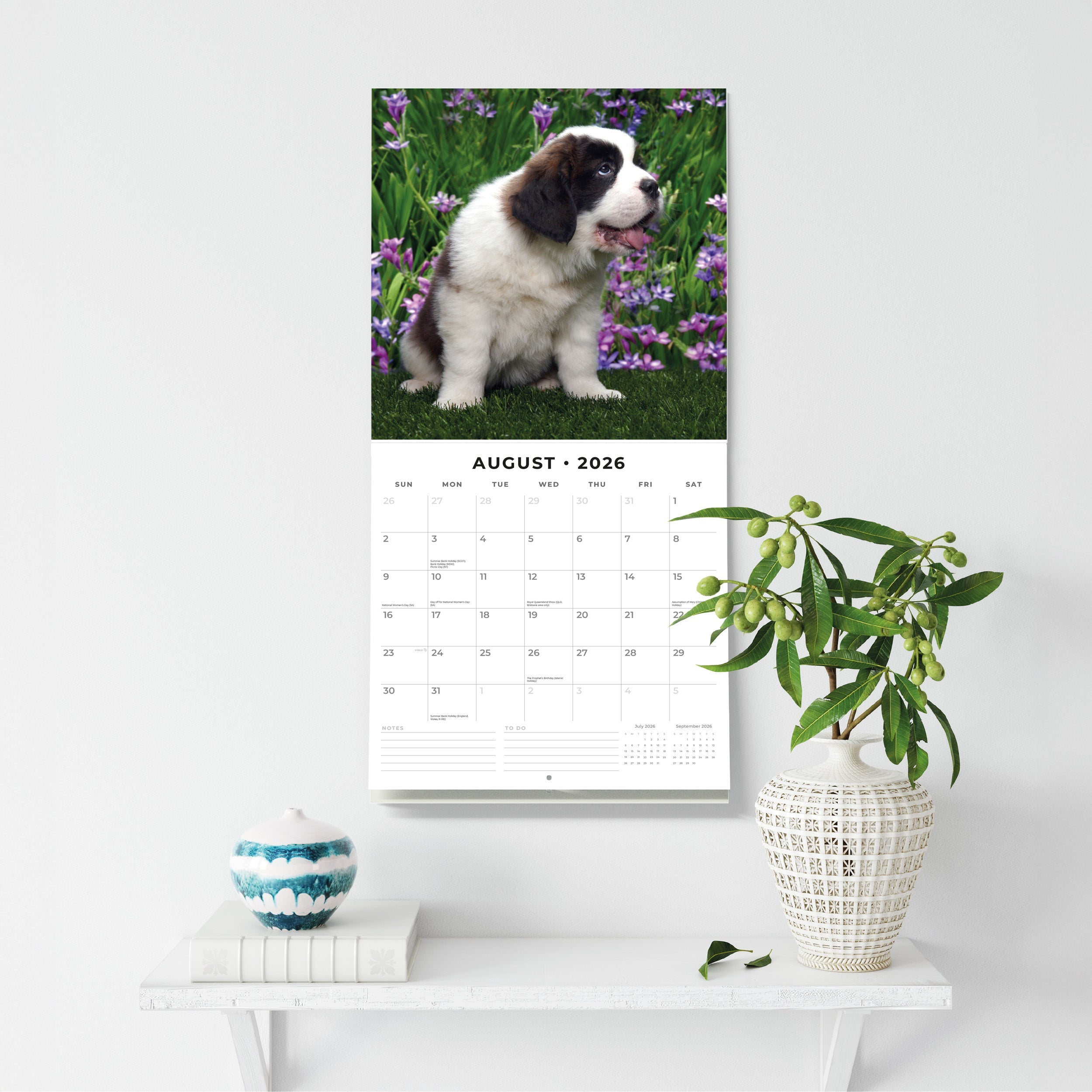 2026 Saint Bernards - Square Wall Calendar