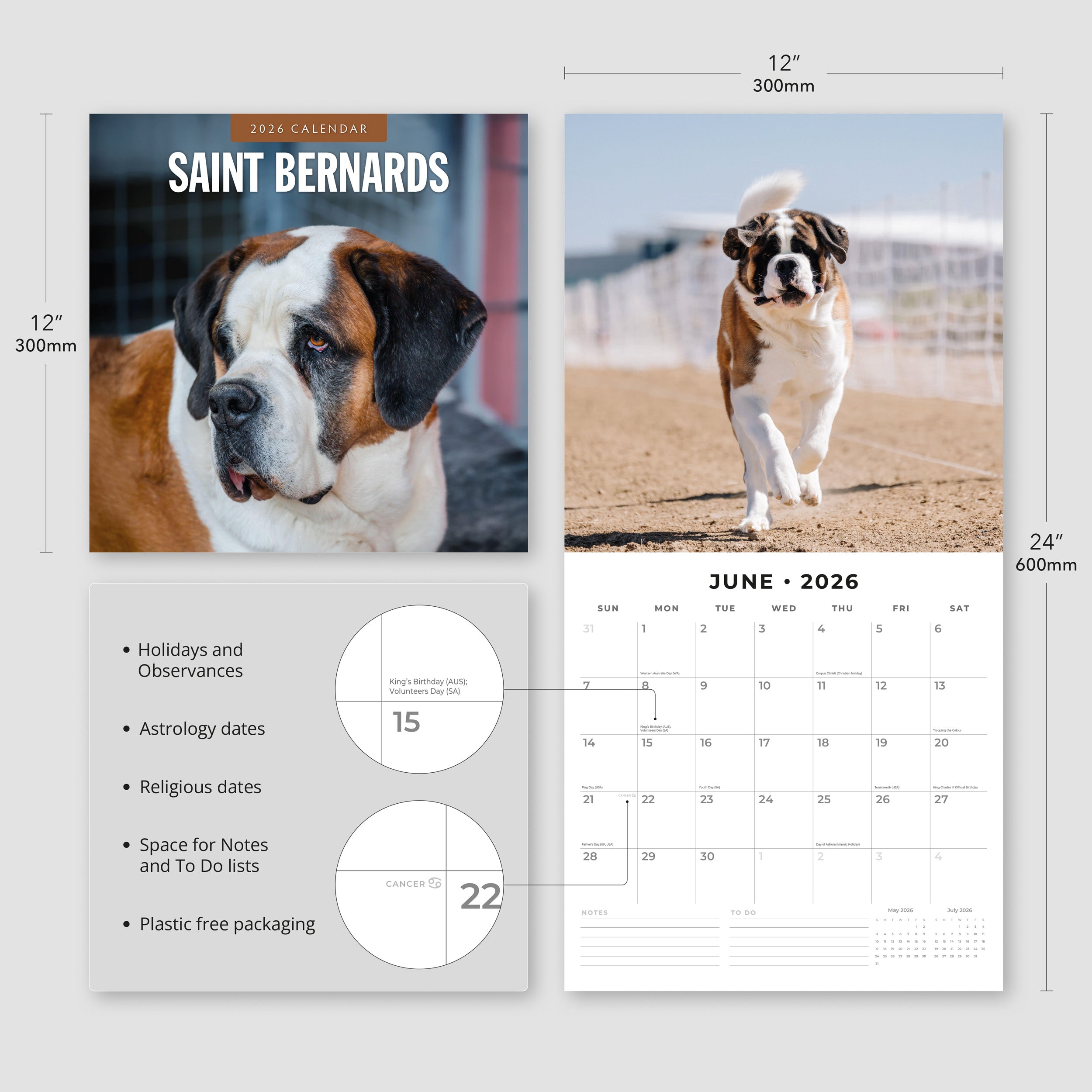 2026 Saint Bernards - Square Wall Calendar