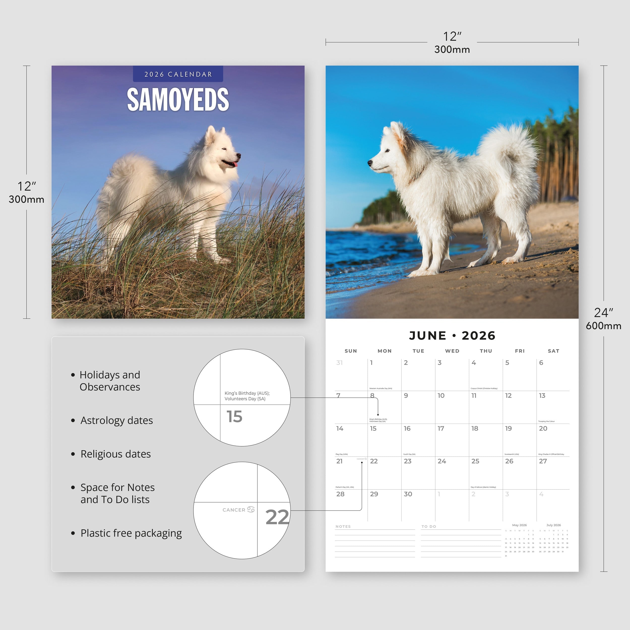 2026 Samoyeds - Square Wall Calendar