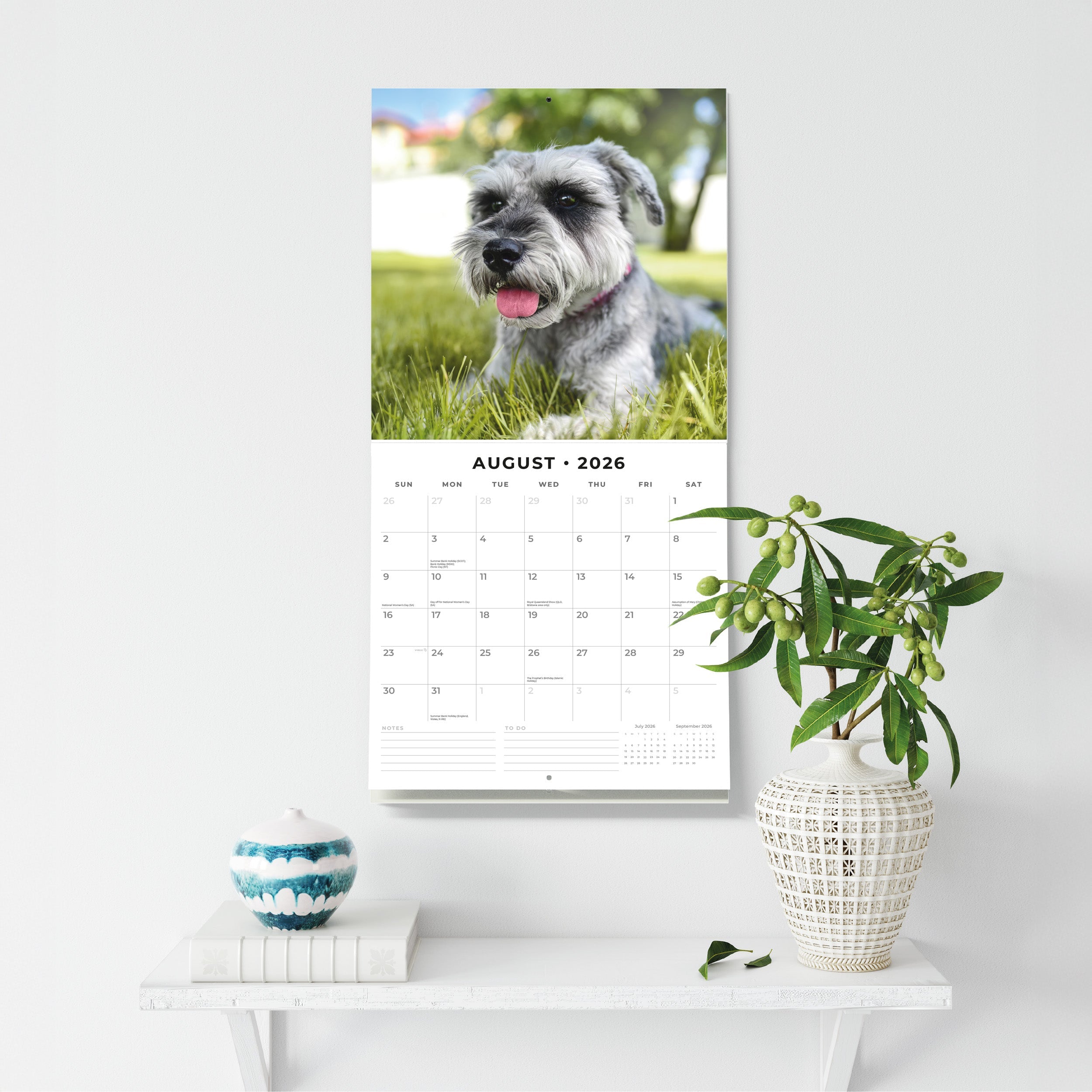 2026 Schnauzer - Square Wall Calendar