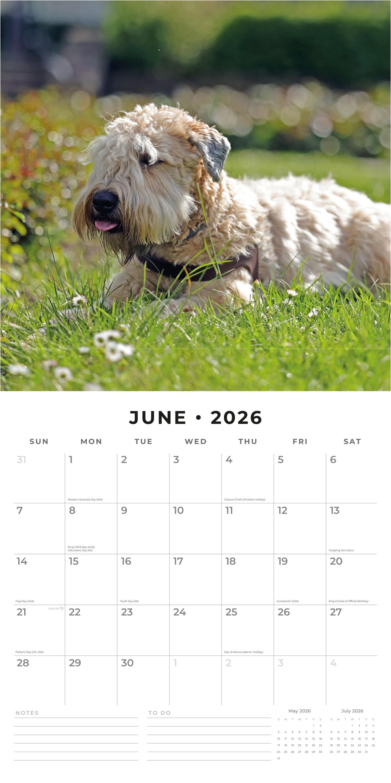 2026 Soft-coated Wheaten Terriers - Square Wall Calendar