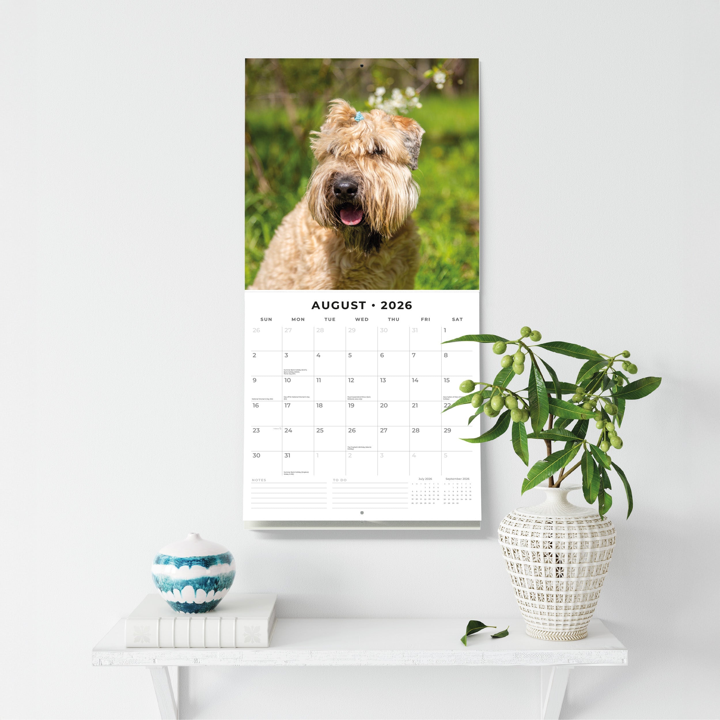 2026 Soft-coated Wheaten Terriers - Square Wall Calendar