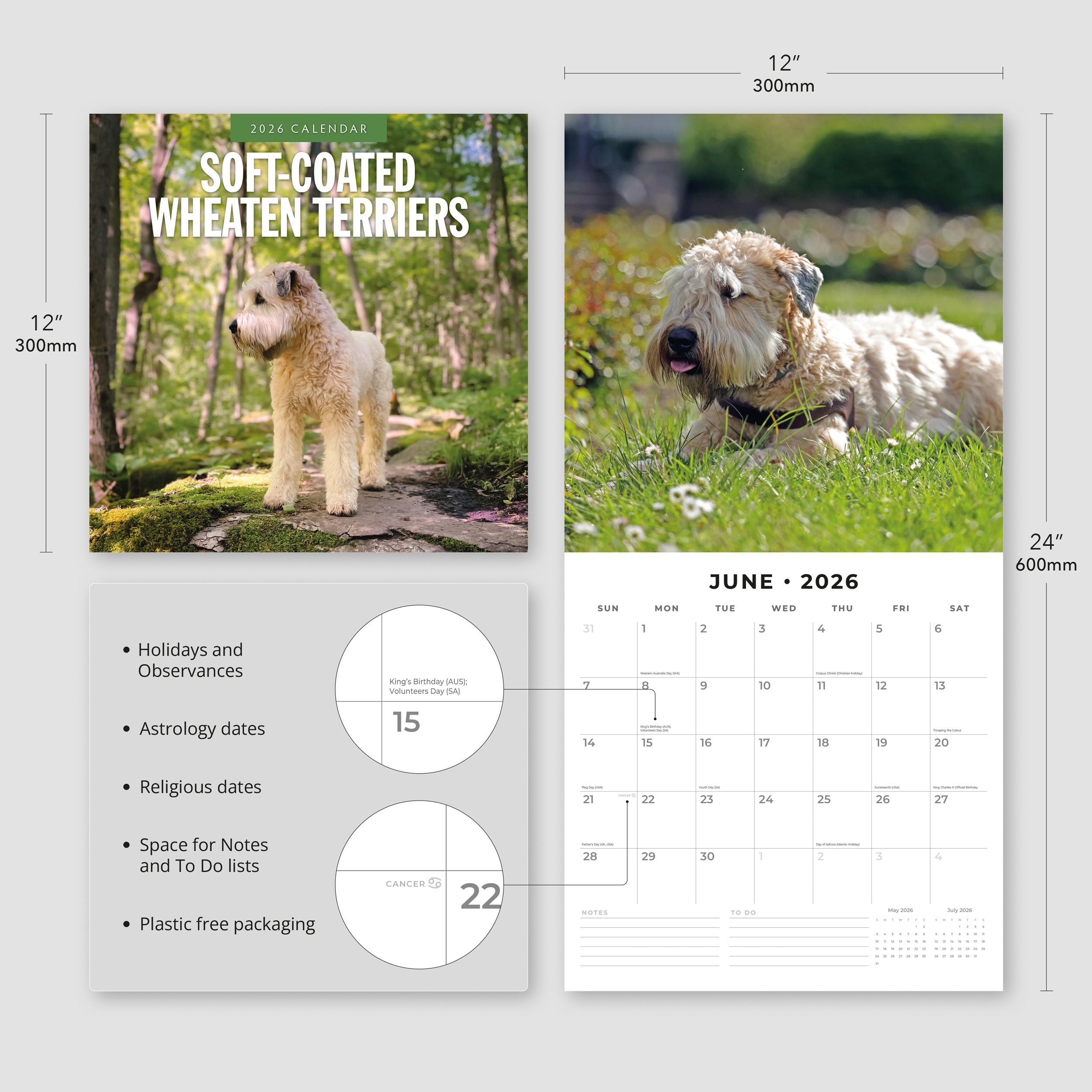 2026 Soft-coated Wheaten Terriers - Square Wall Calendar