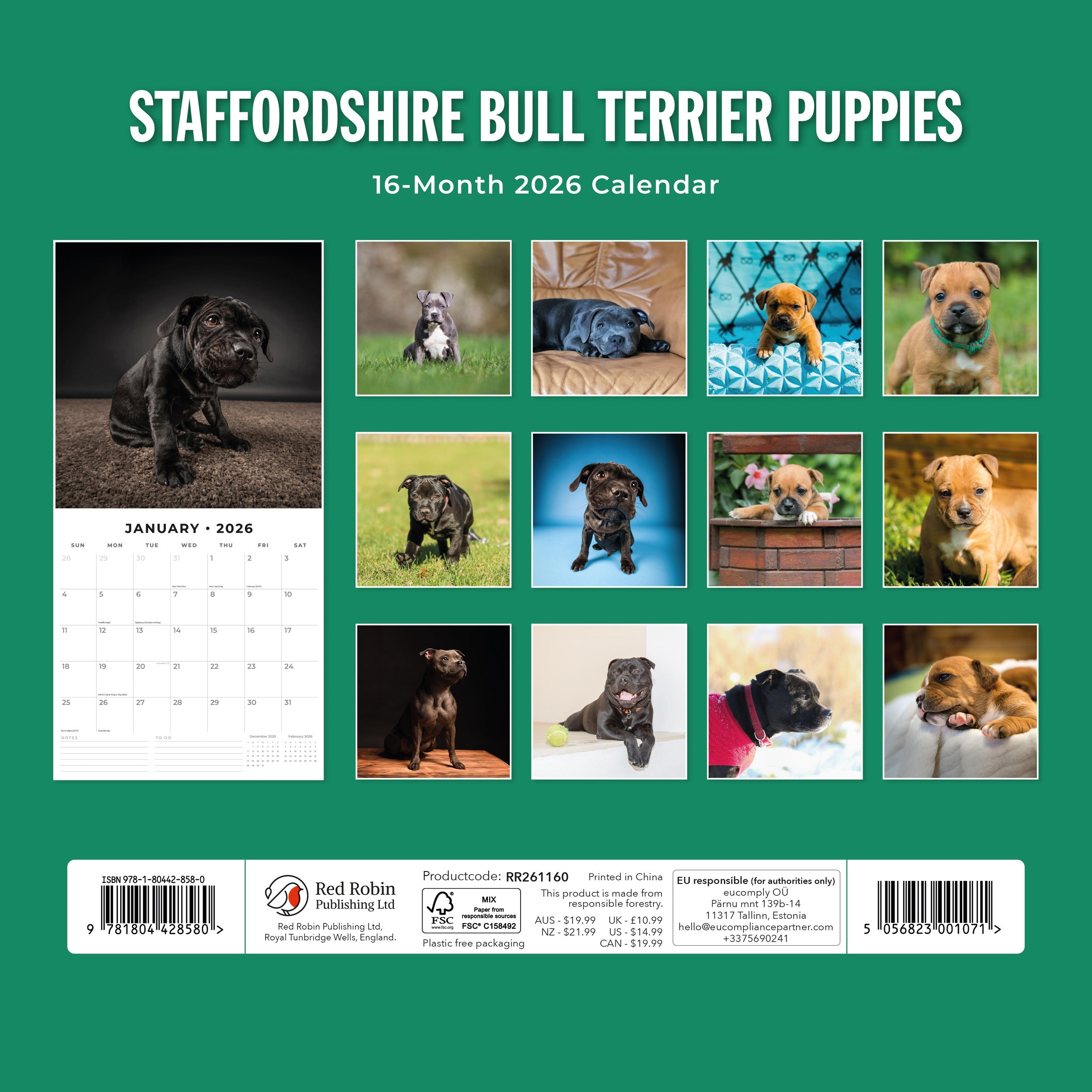 2026 Staffordshire Bull Terrier Puppies - Square Wall Calendar