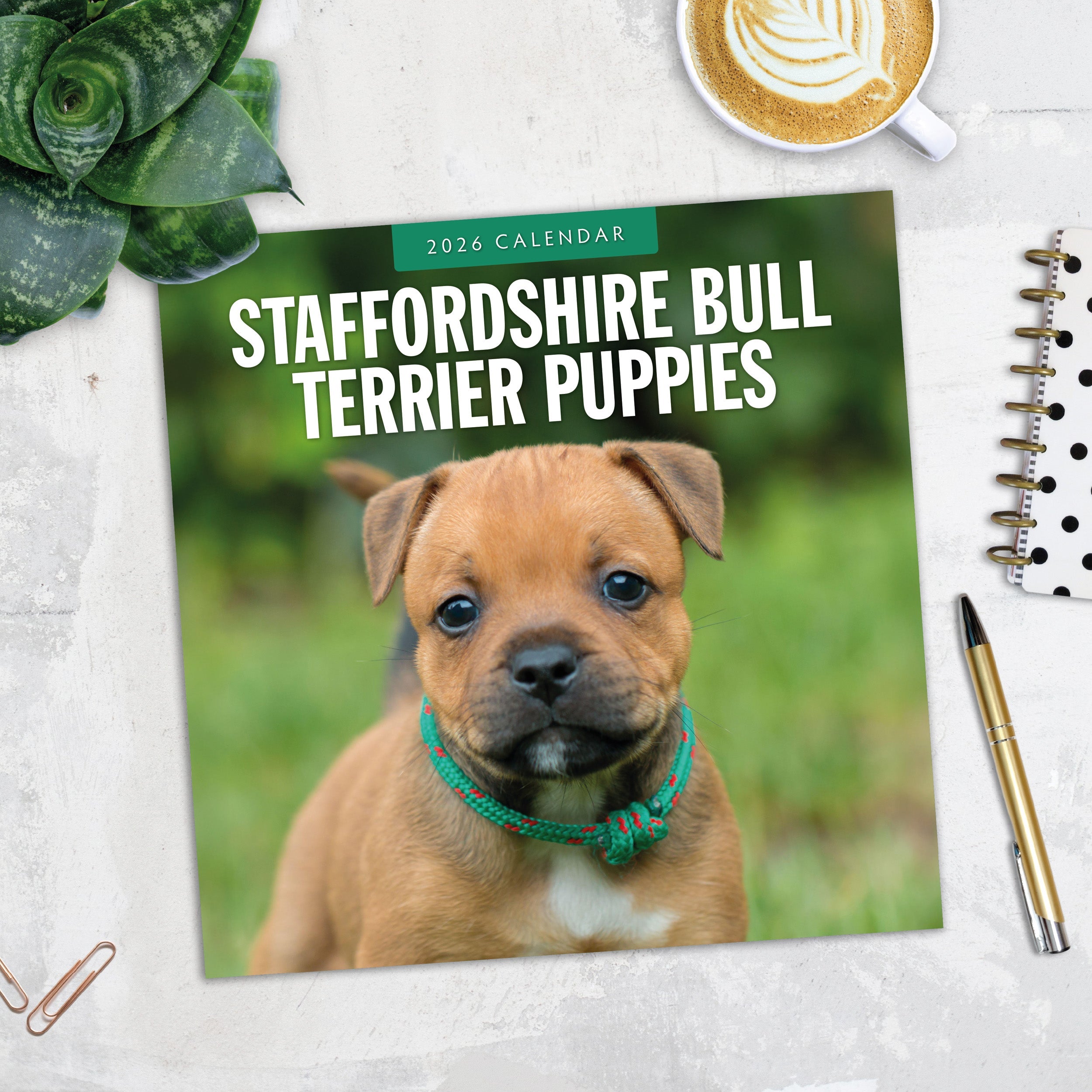 2026 Staffordshire Bull Terrier Puppies - Square Wall Calendar