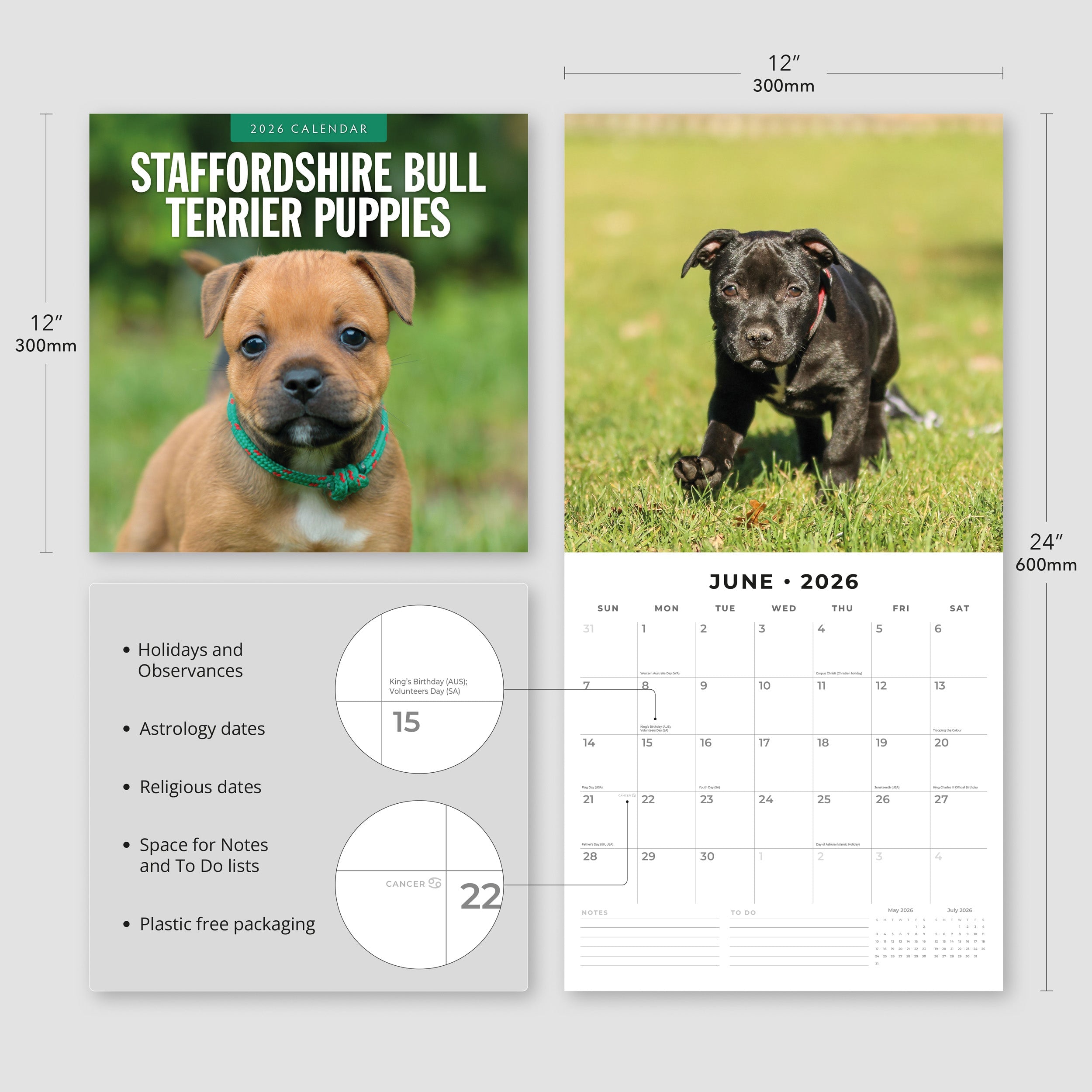 2026 Staffordshire Bull Terrier Puppies - Square Wall Calendar