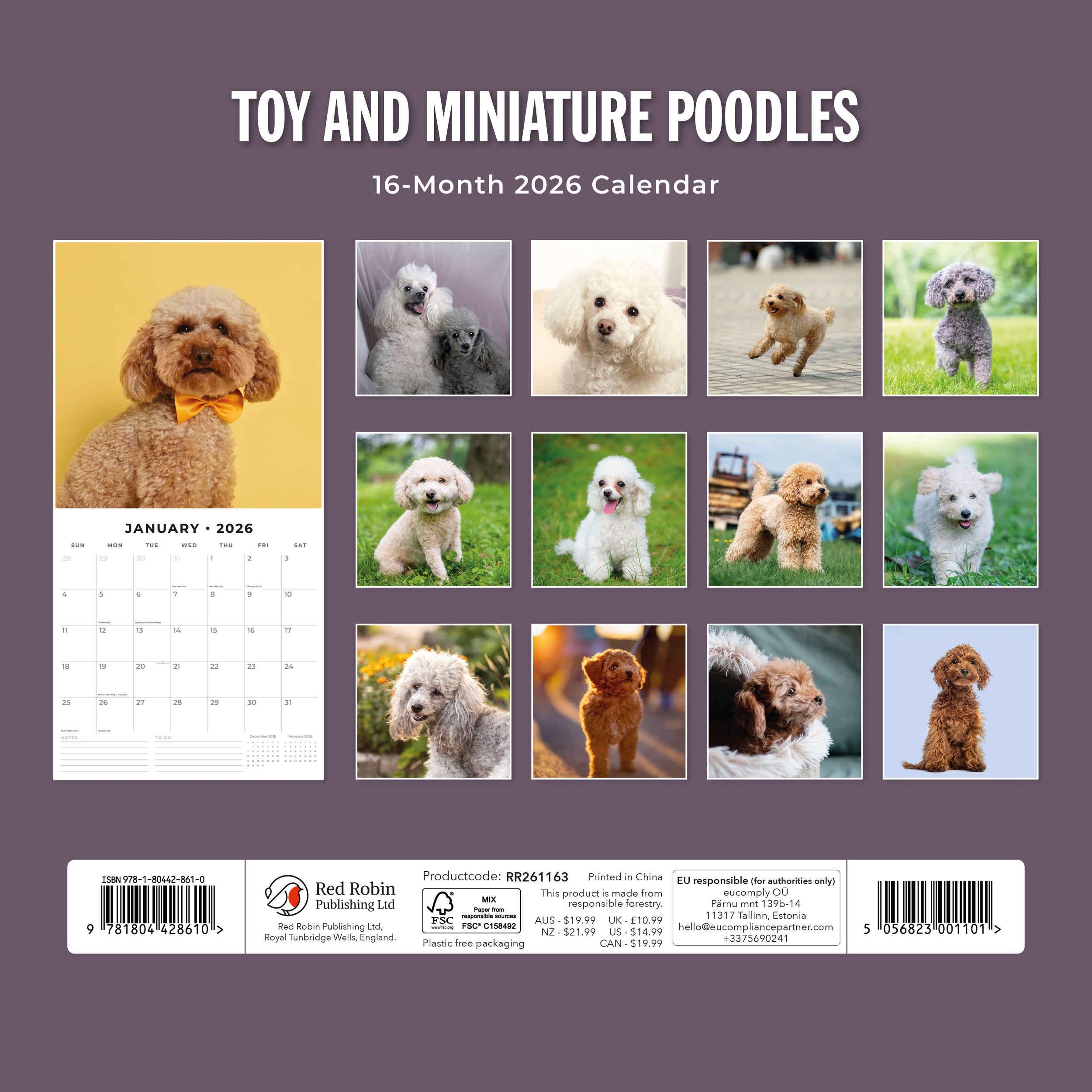 2026 Toy and Miniature Poodles - Square Wall Calendar