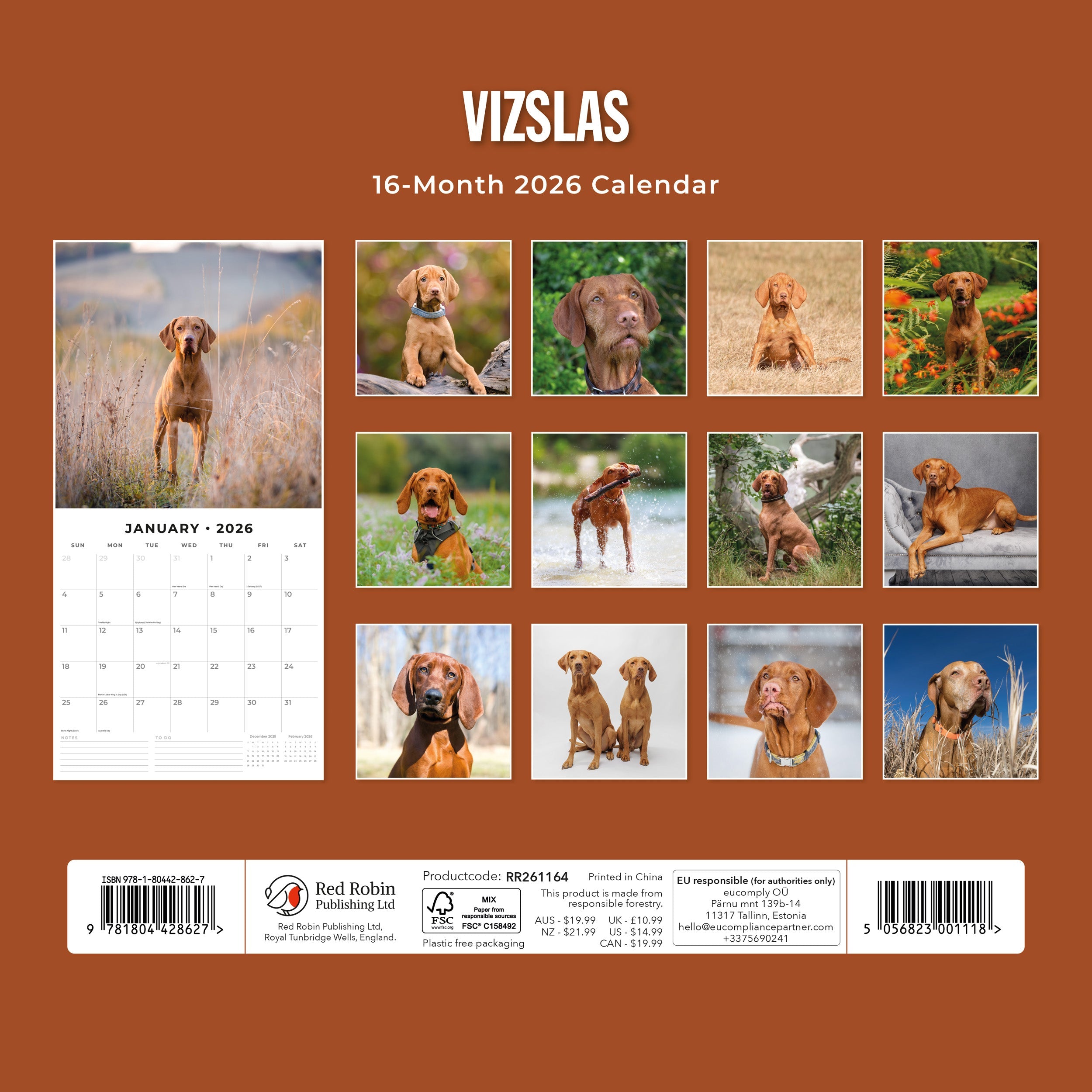 2026 Vizslas - Square Wall Calendar