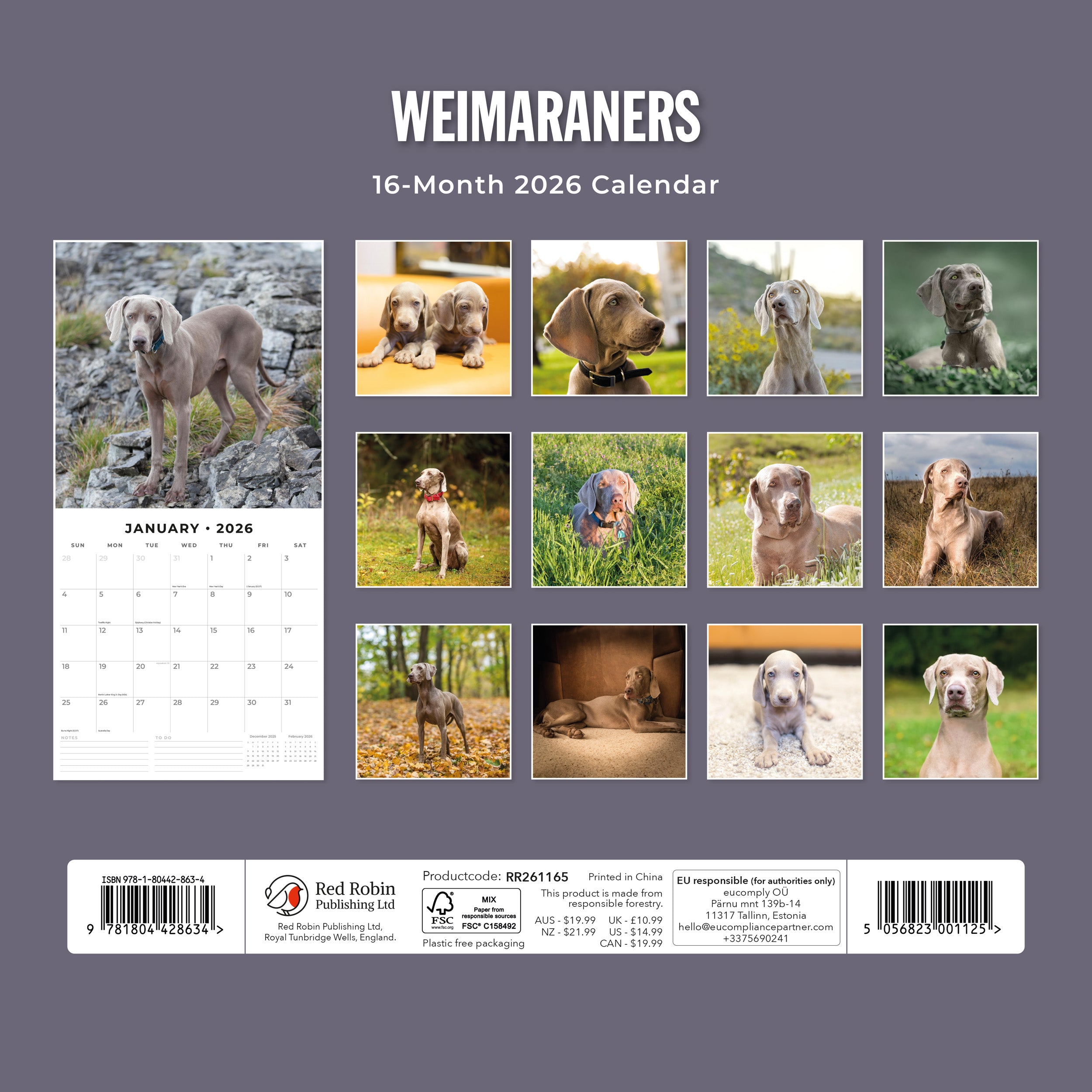 2026 Weimaraners - Square Wall Calendar