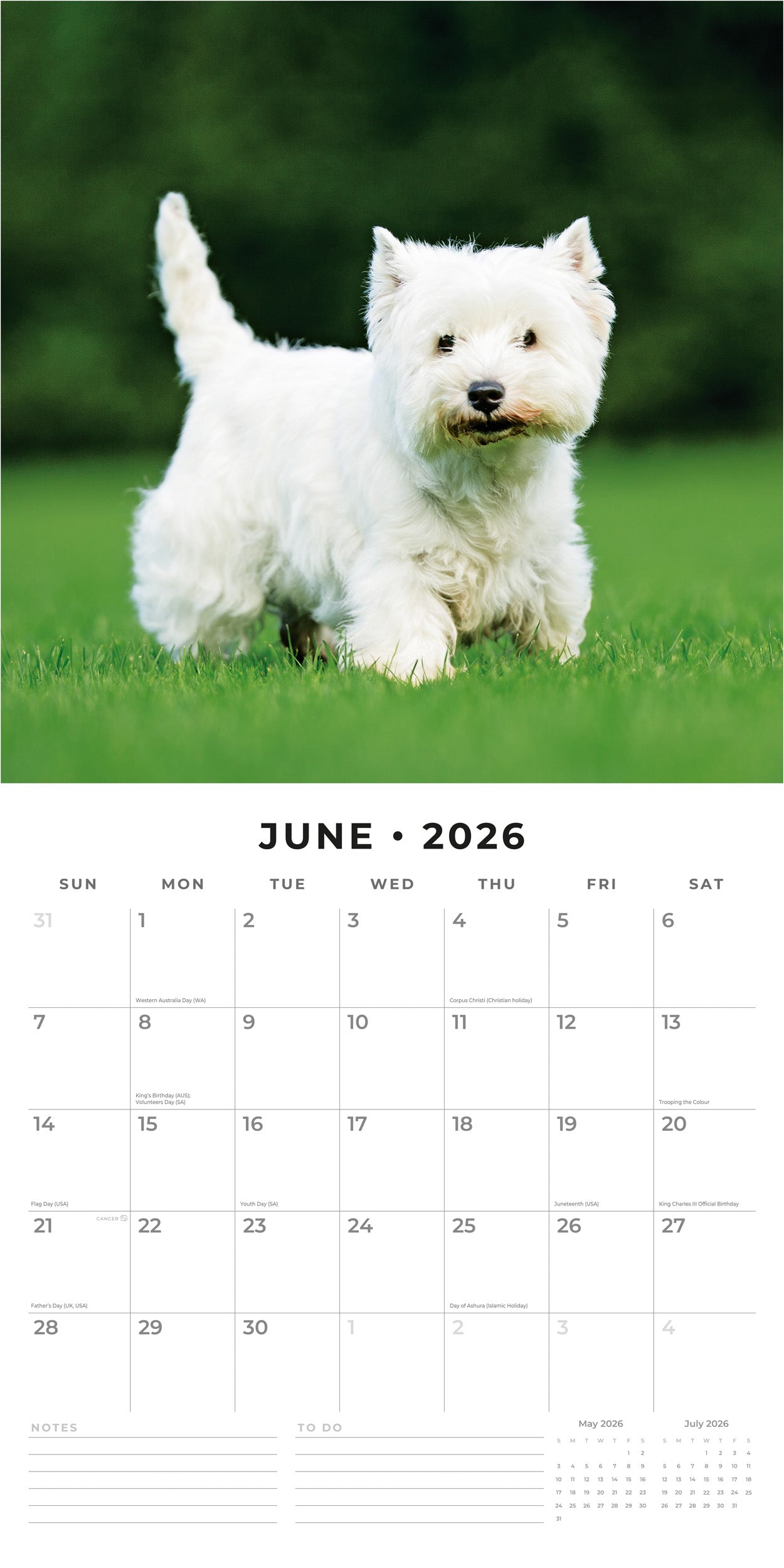 2026 West Highland White Terriers - Square Wall Calendar