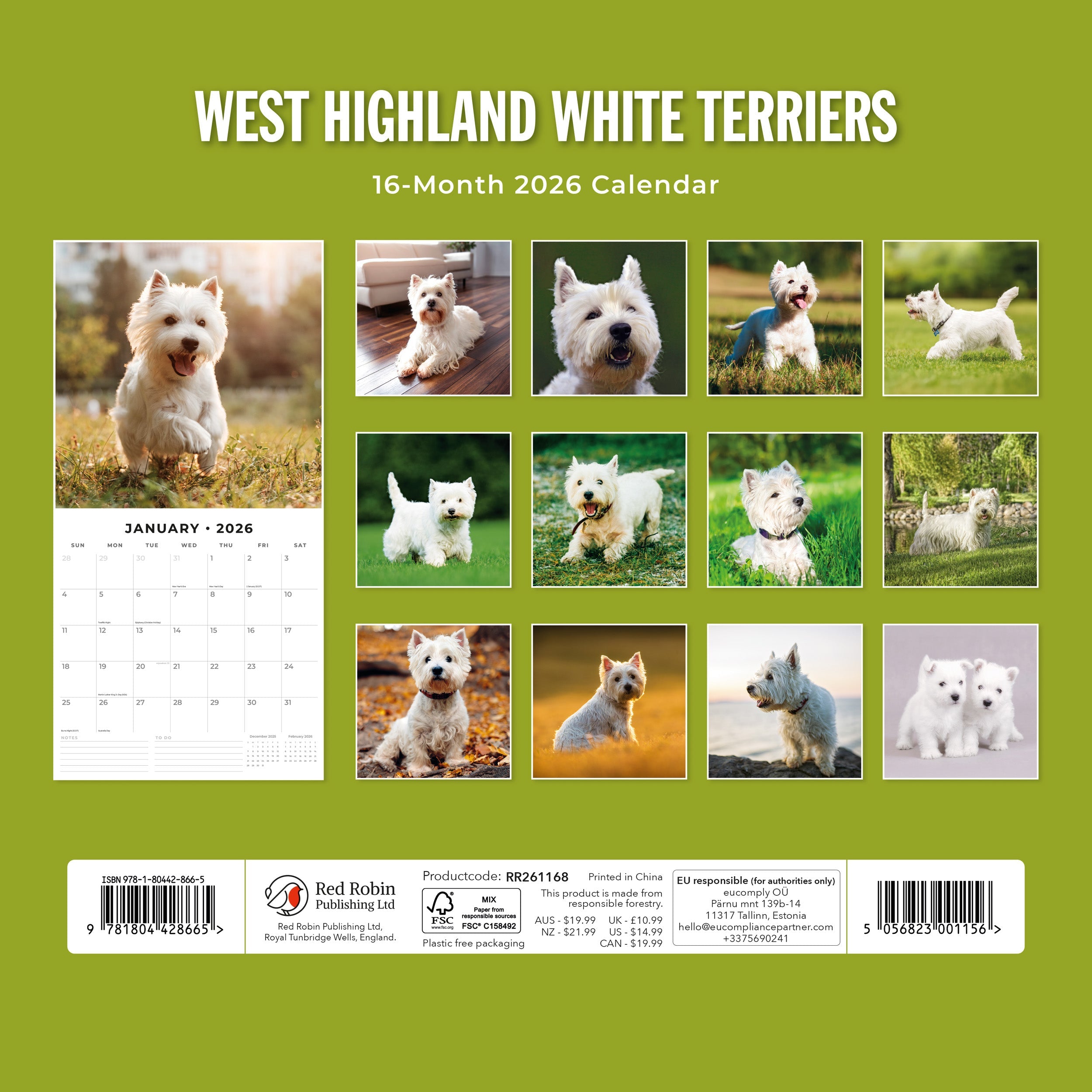 2026 West Highland White Terriers - Square Wall Calendar