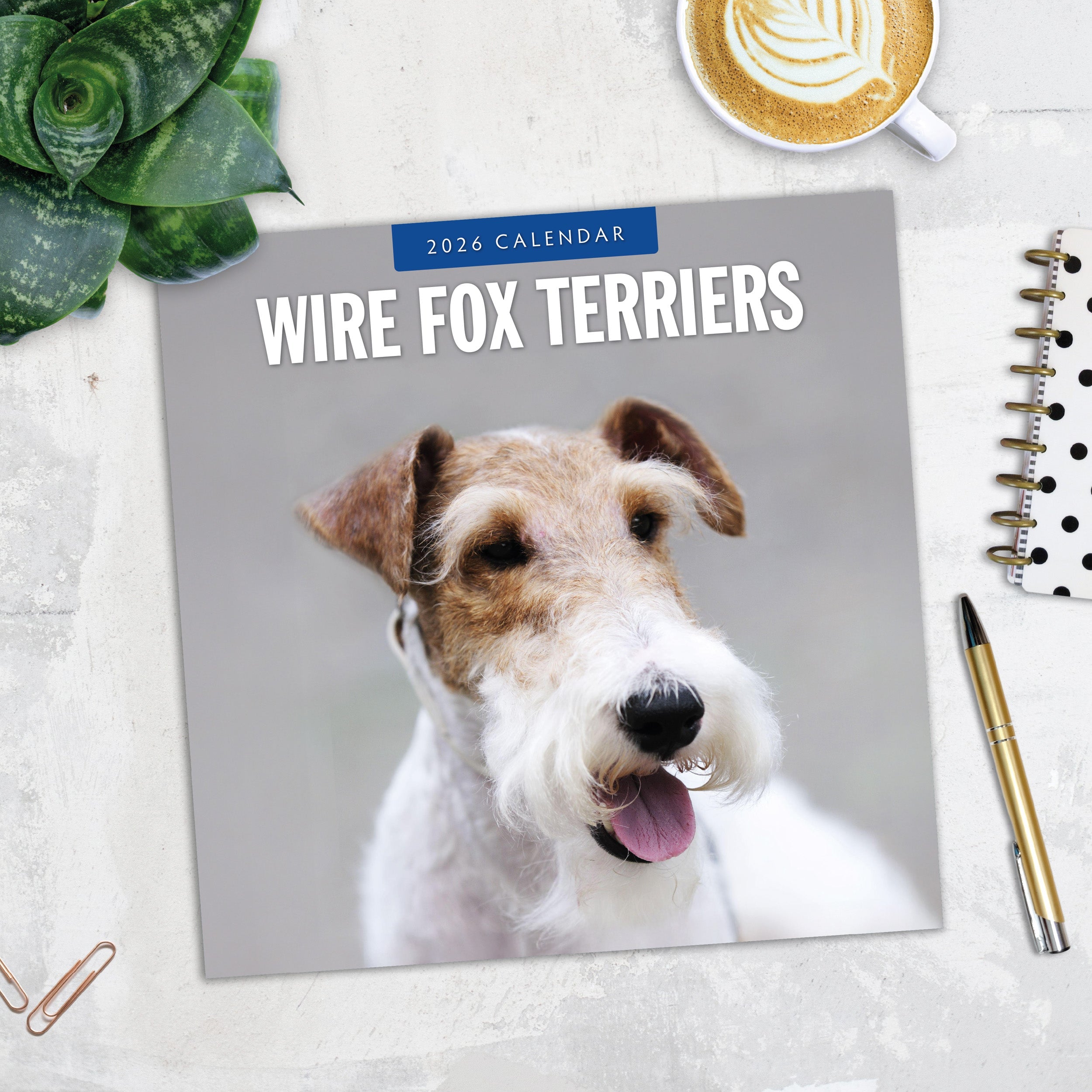 2026 Wire Fox Terriers - Square Wall Calendar