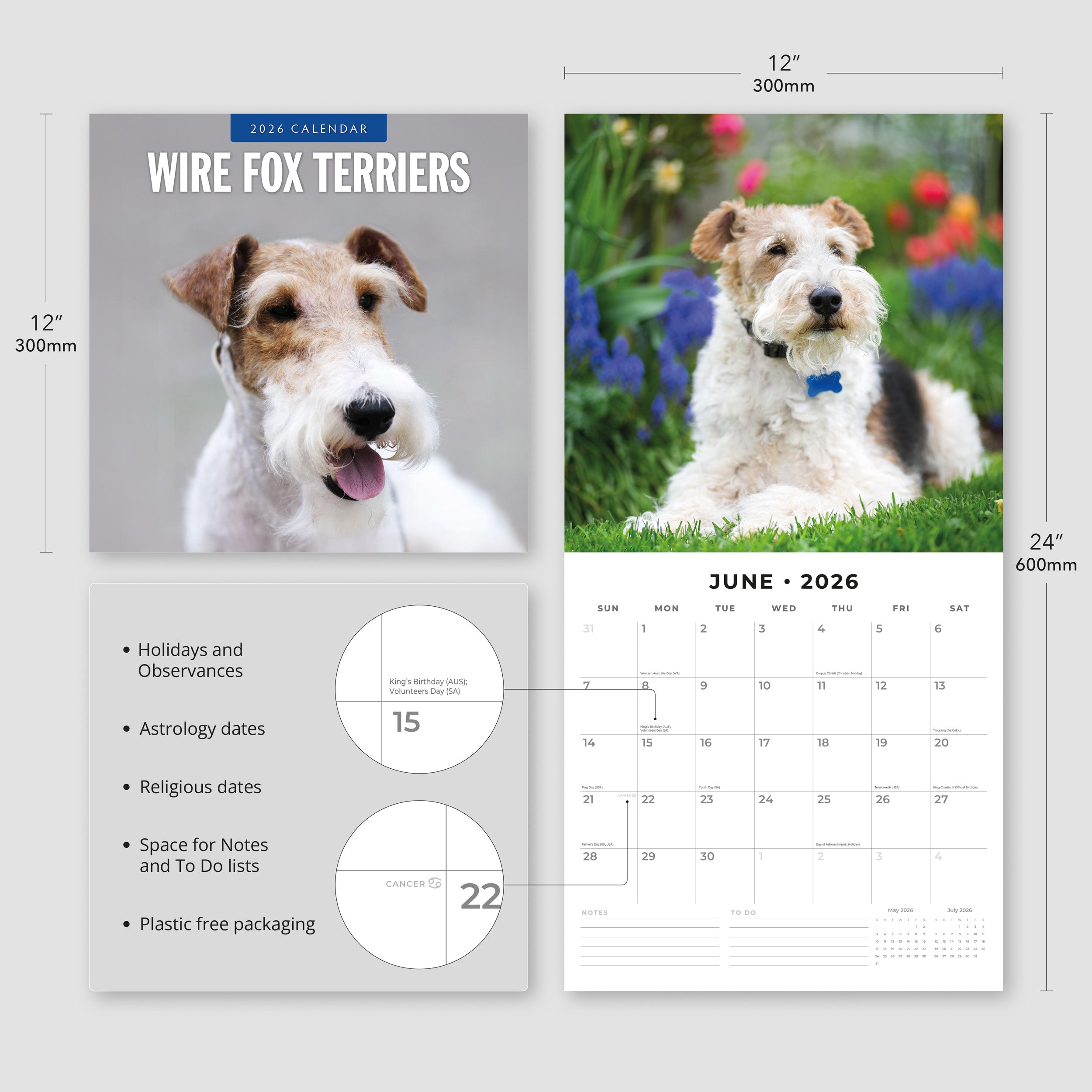 2026 Wire Fox Terriers - Square Wall Calendar