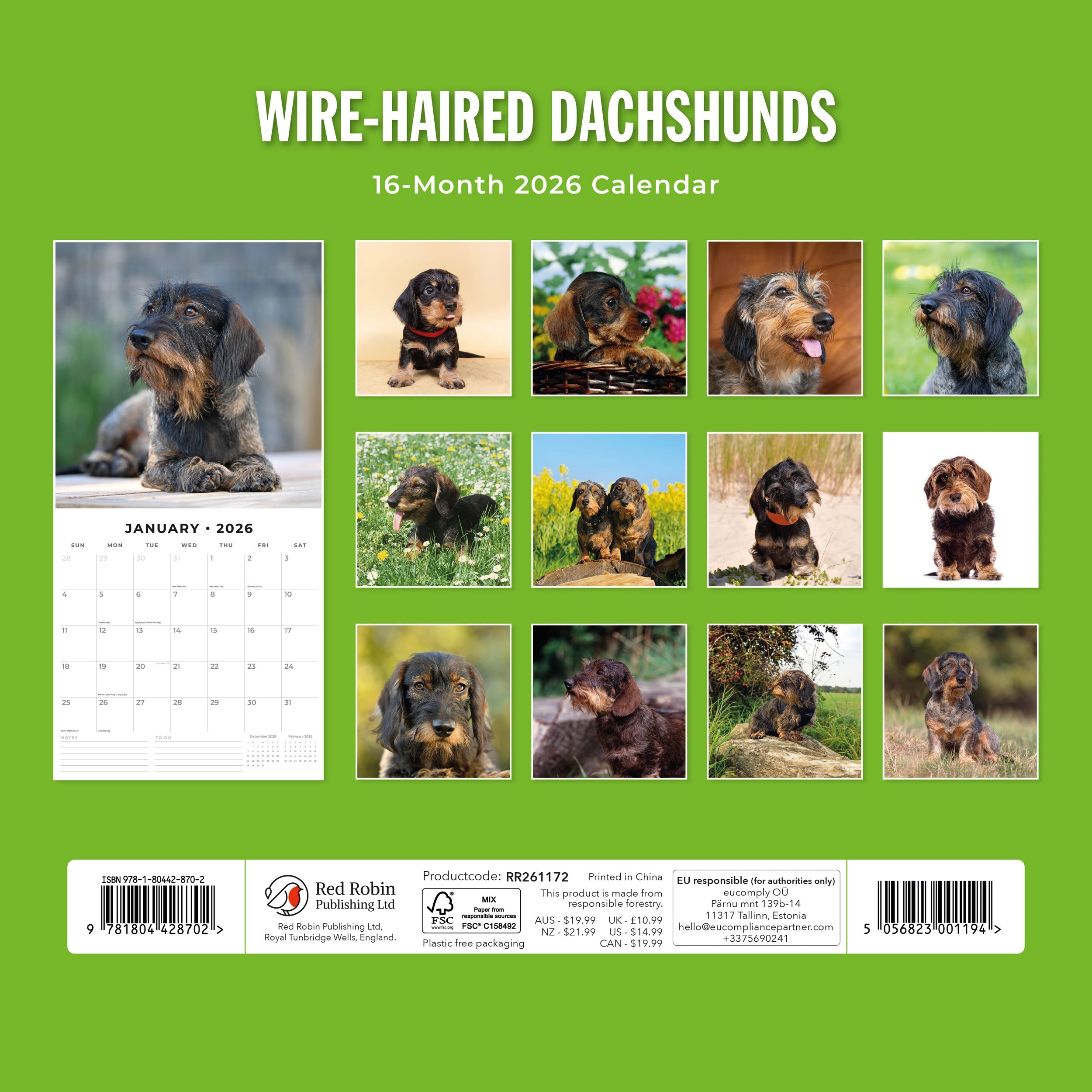 2026 Wire-haired Dachshunds - Square Wall Calendar