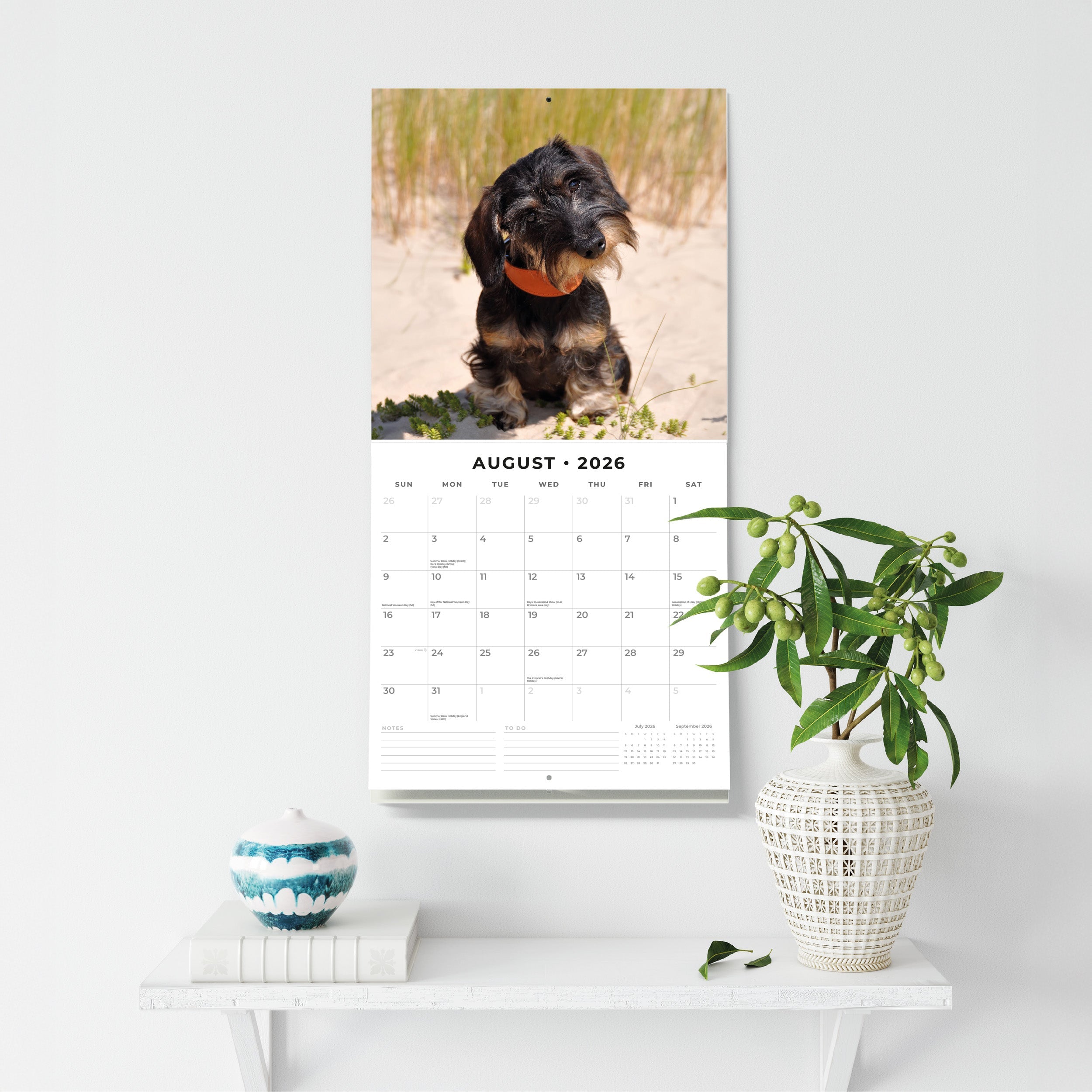 2026 Wire-haired Dachshunds - Square Wall Calendar