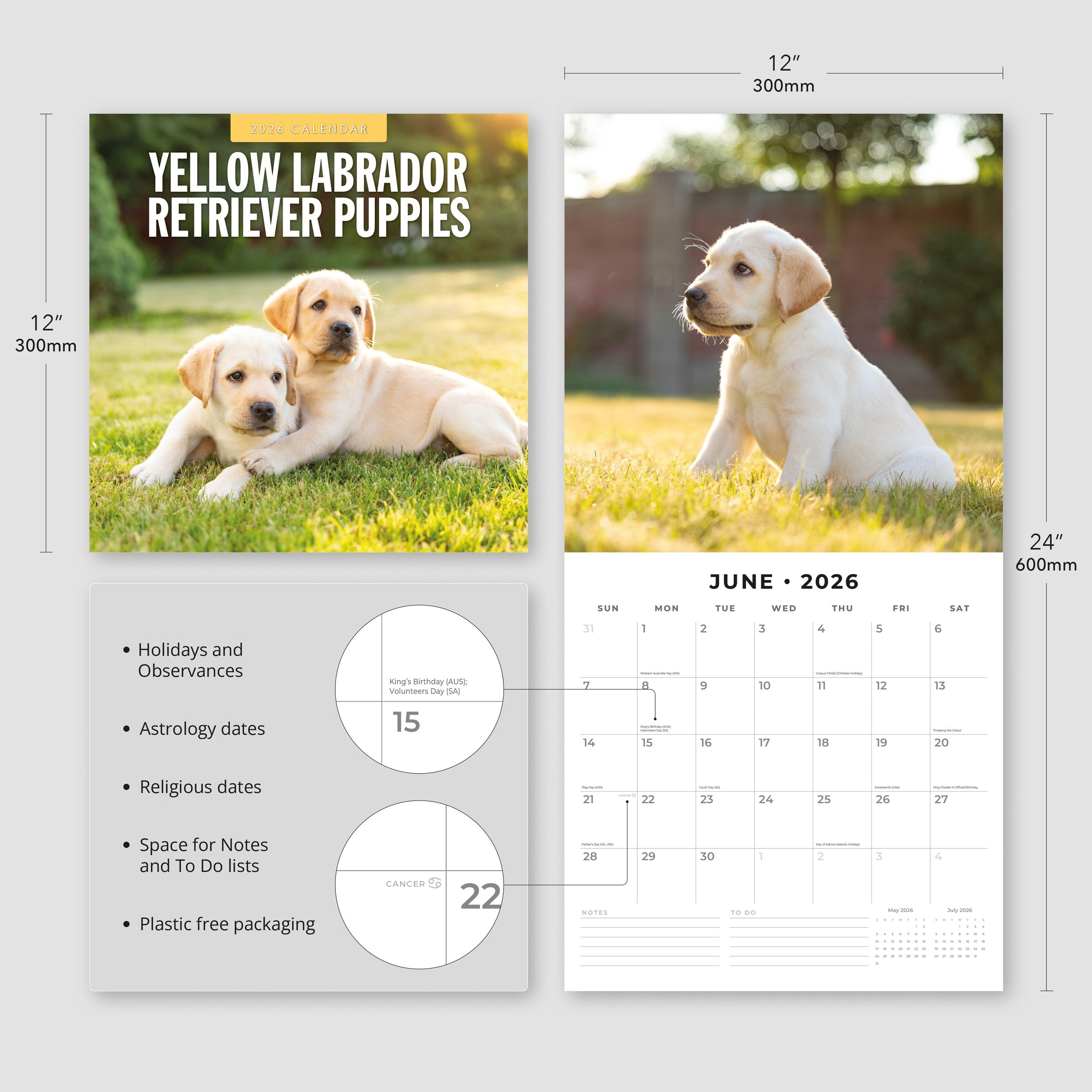 2026 Yellow Labrador Retriever Puppies - Square Wall Calendar