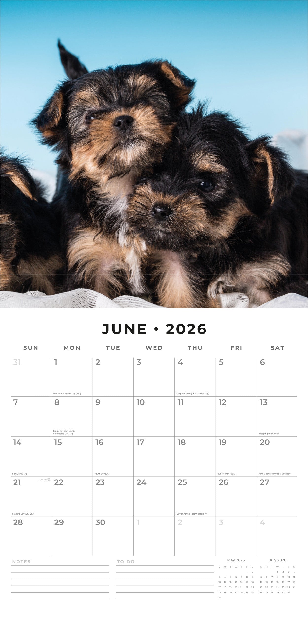 2026 Yorkshire Terrier Puppies - Square Wall Calendar