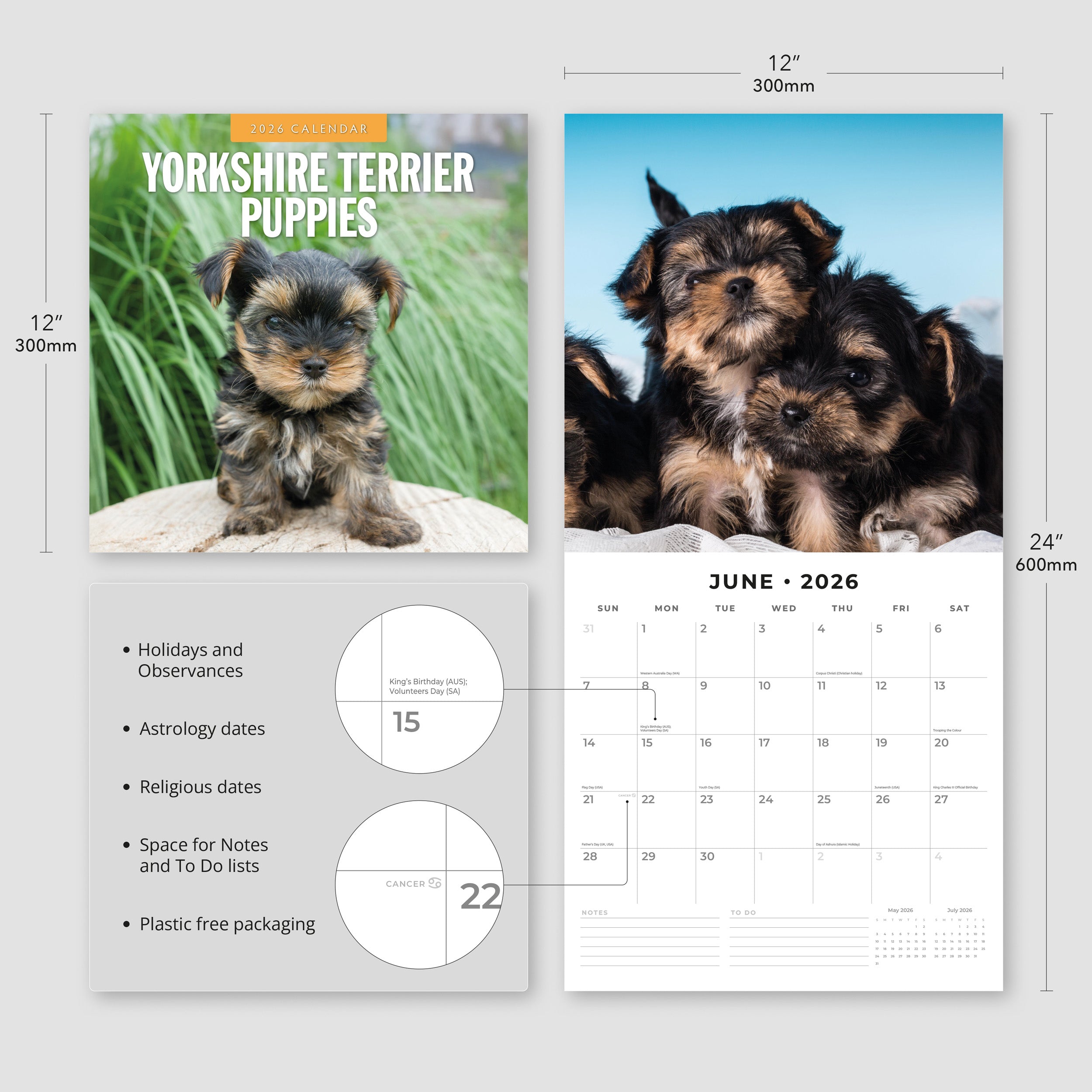2026 Yorkshire Terrier Puppies - Square Wall Calendar