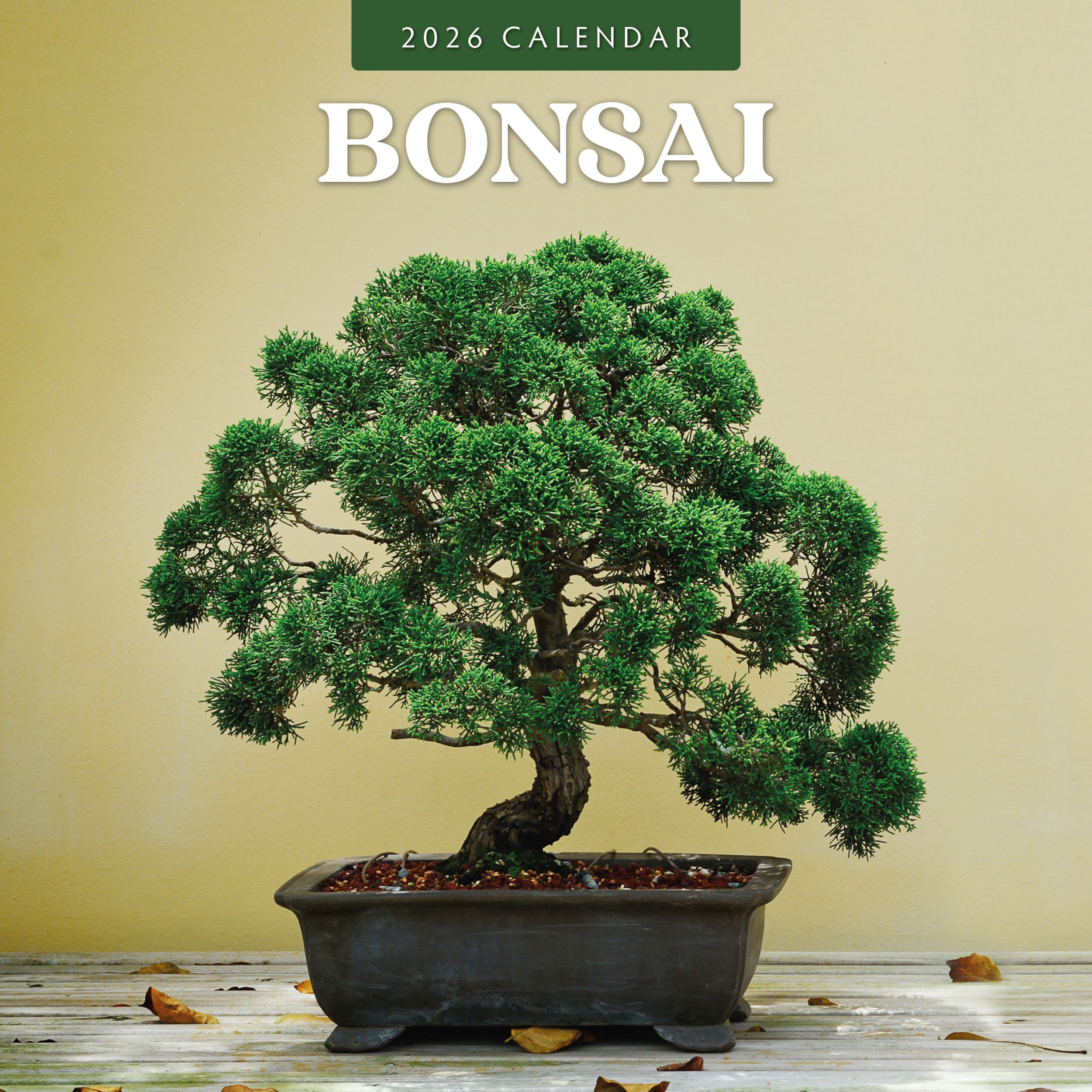 2026 Bonsai - Square Wall Calendar