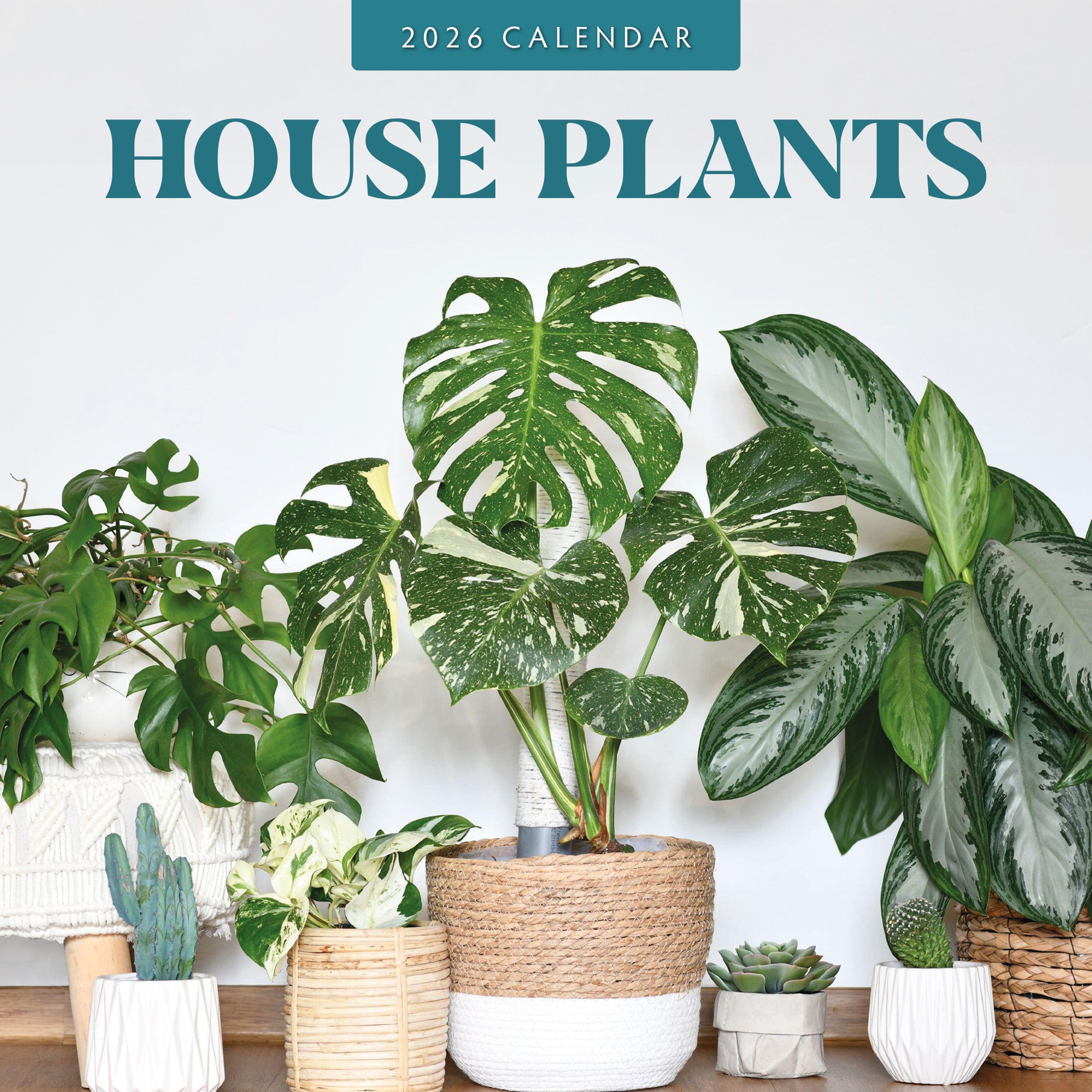 2026 House Plants - Square Wall Calendar