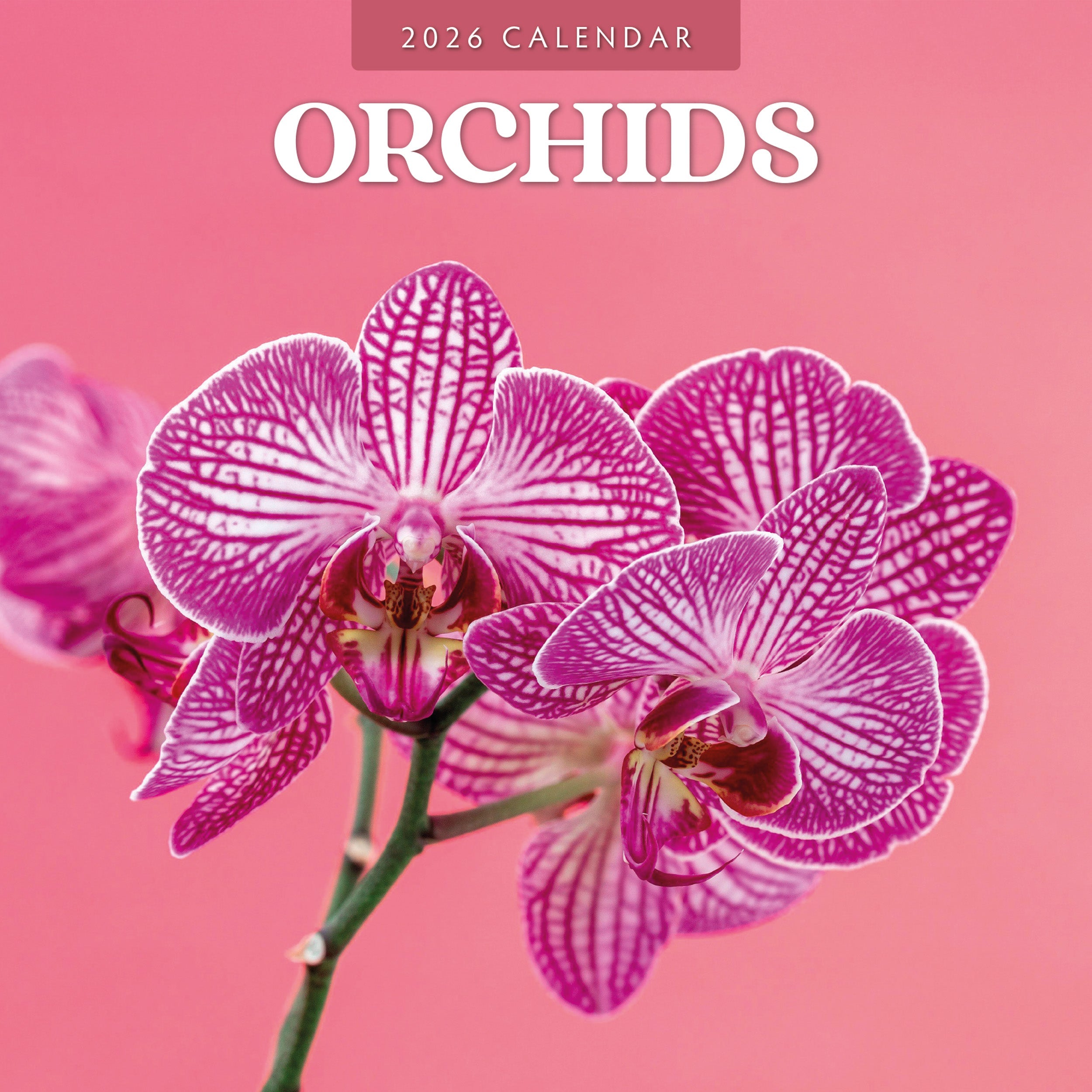 2026 Orchids - Square Wall Calendar