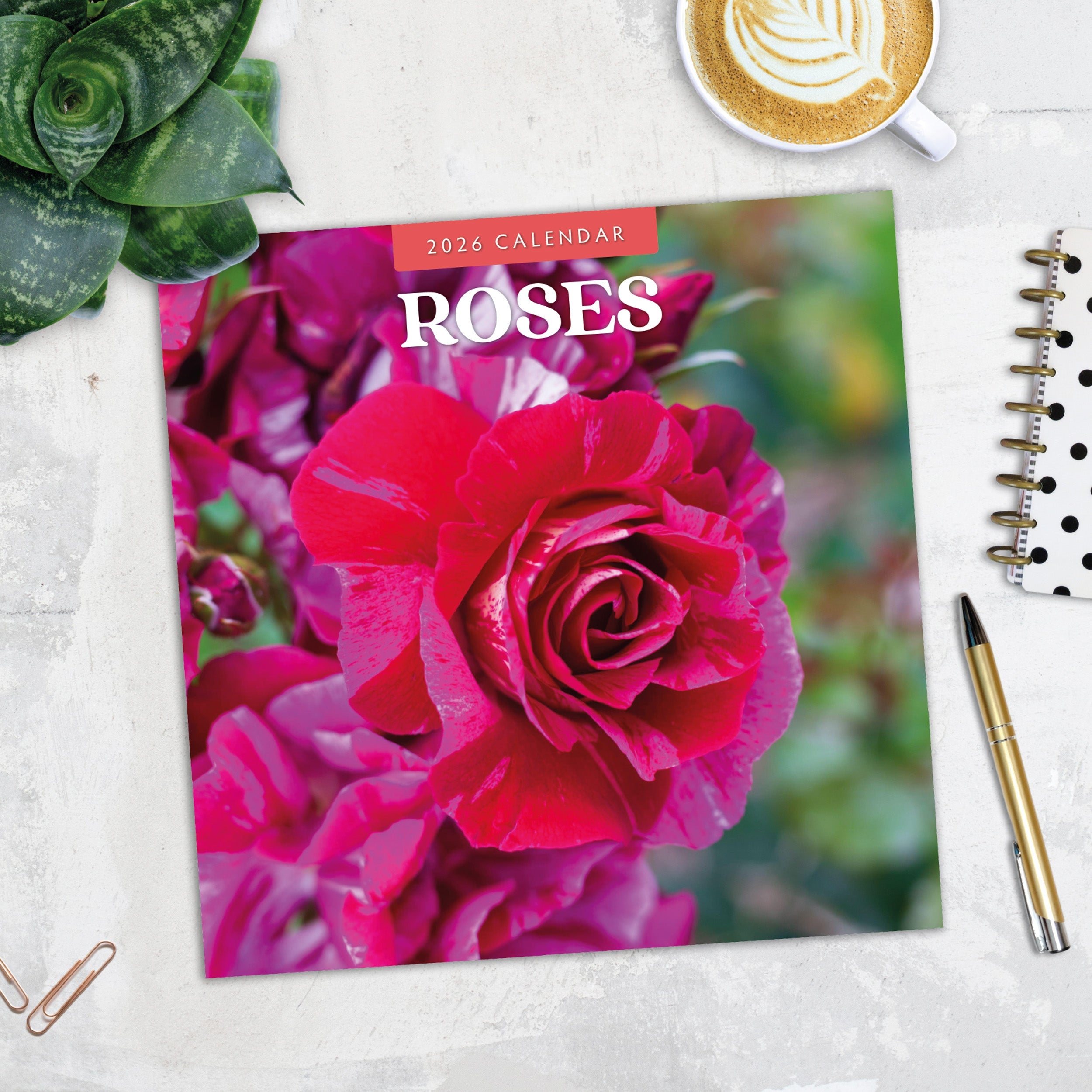 2026 Roses - Square Wall Calendar