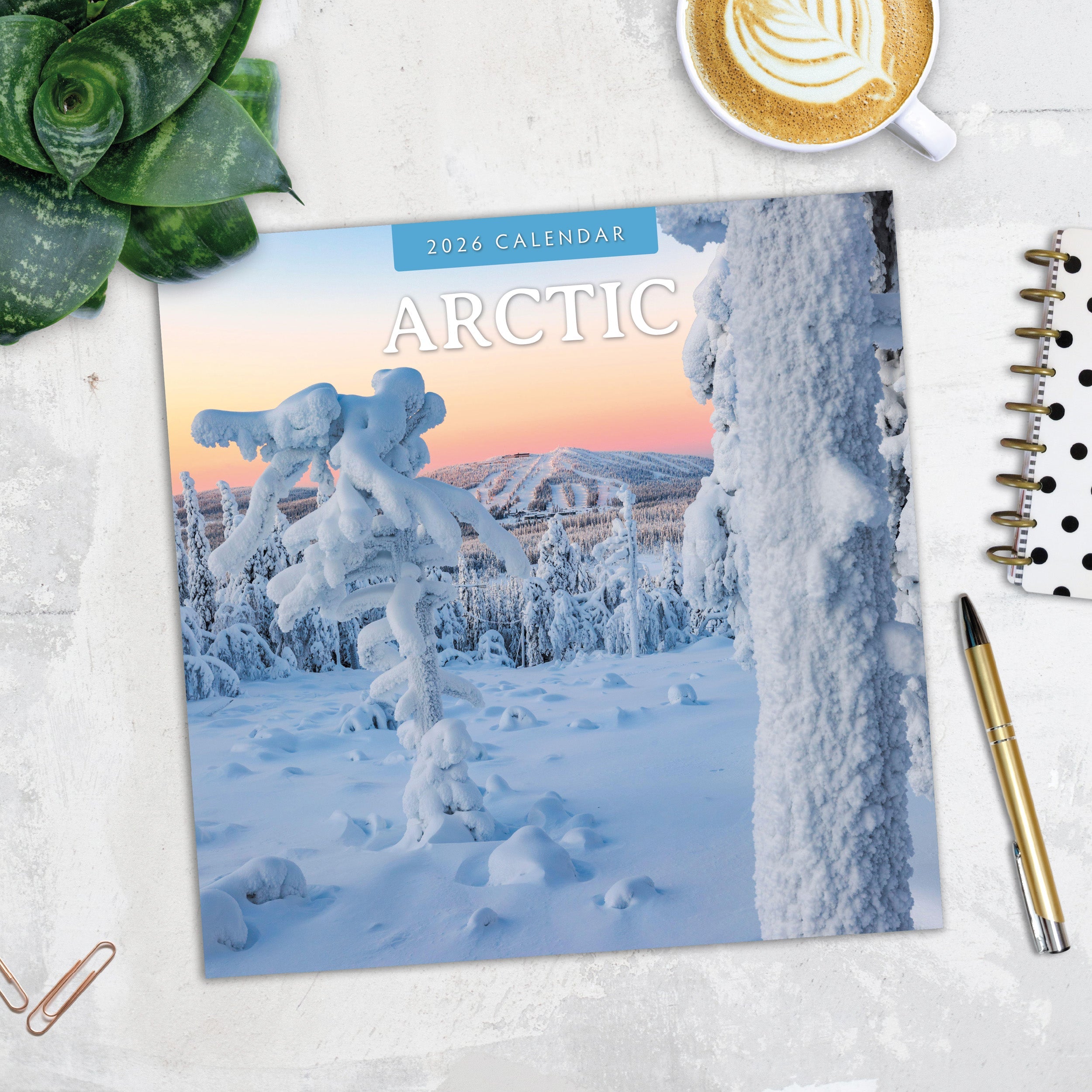 2026 Arctic - Square Wall Calendar