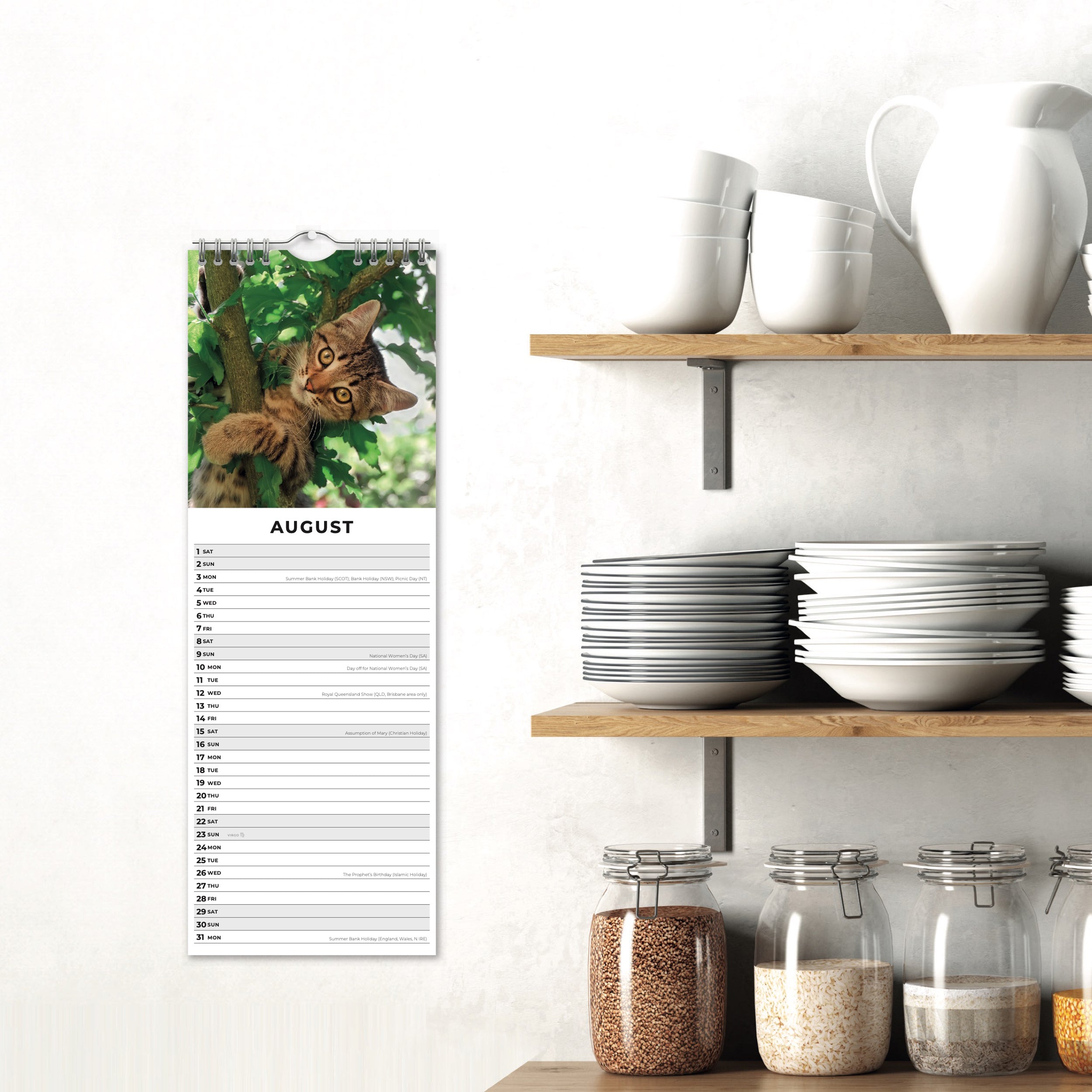 2026 Adorable Cats - Slim Wall Calendar