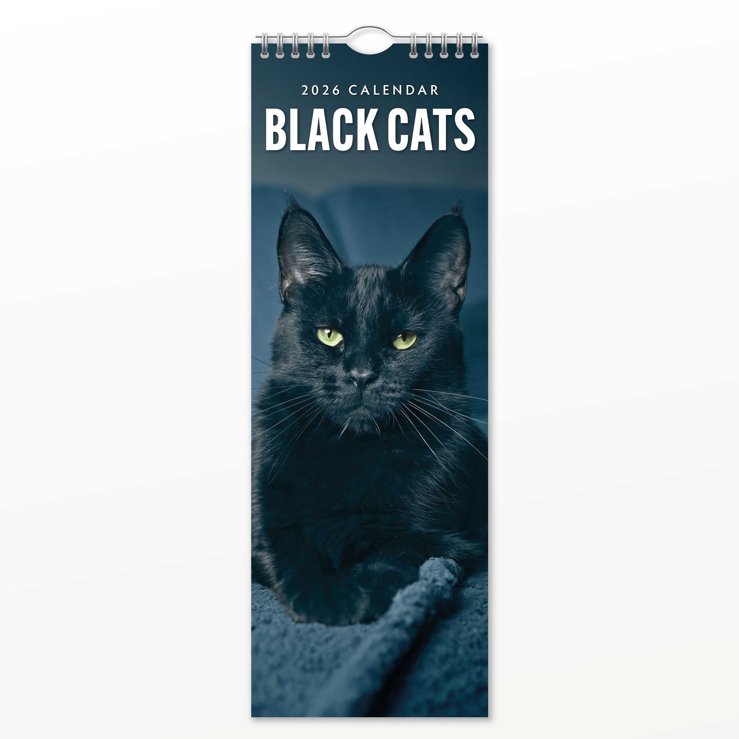 2026 Black Cats - Slim Wall Calendar