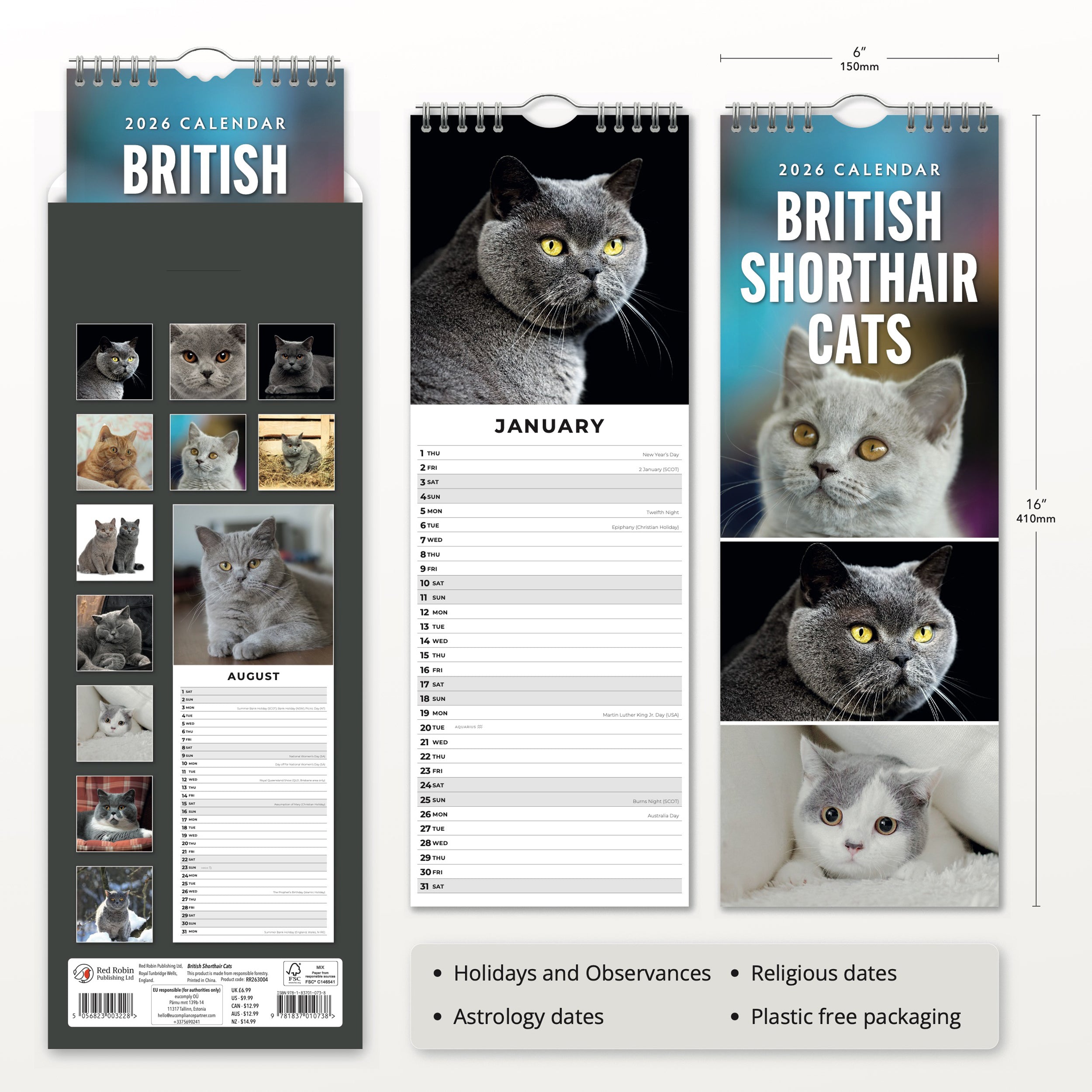 2026 British Shorthair Cats - Slim Wall Calendar