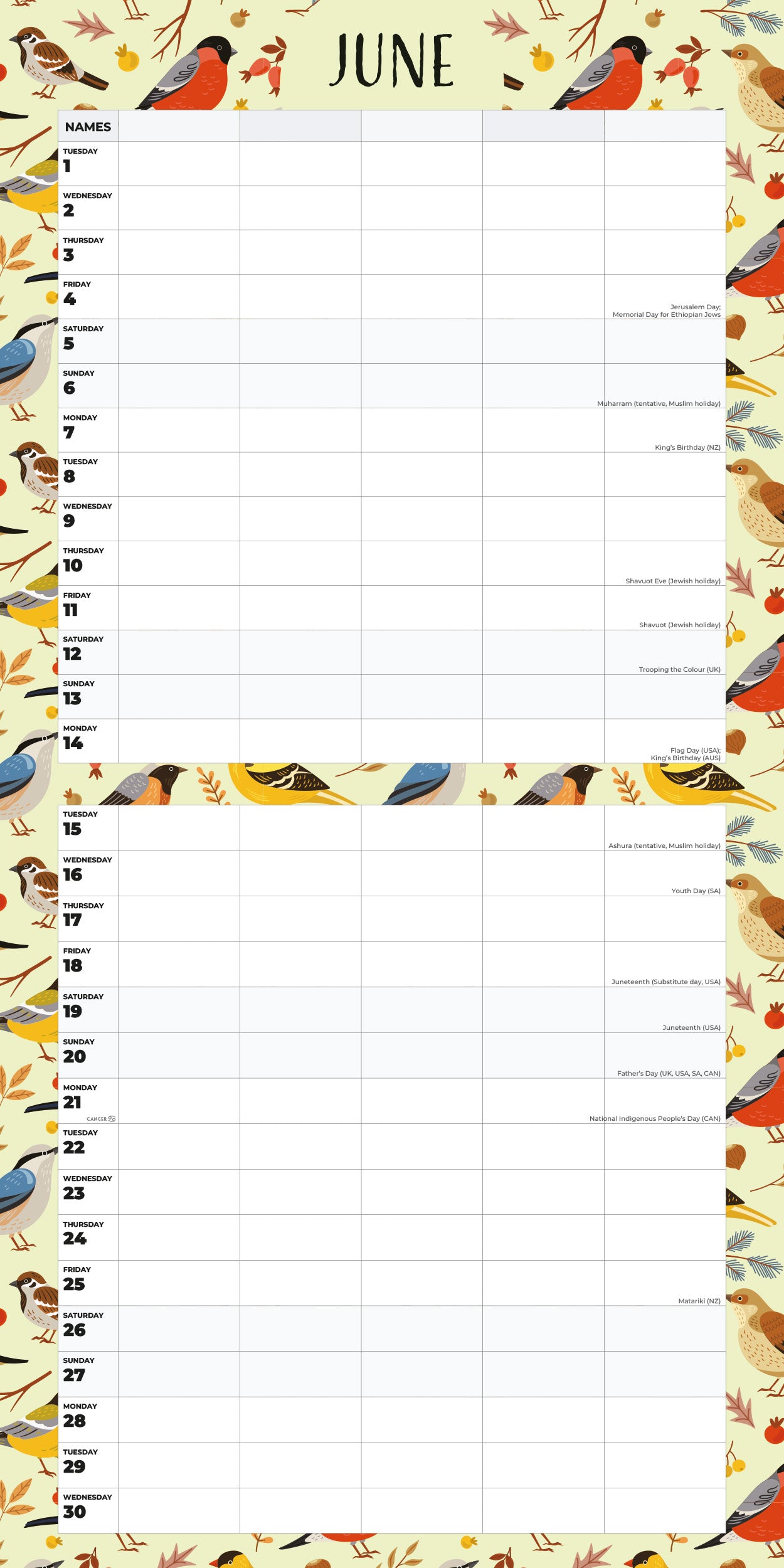 2027 Family Organiser - Birdsong - Square Wall Calendar