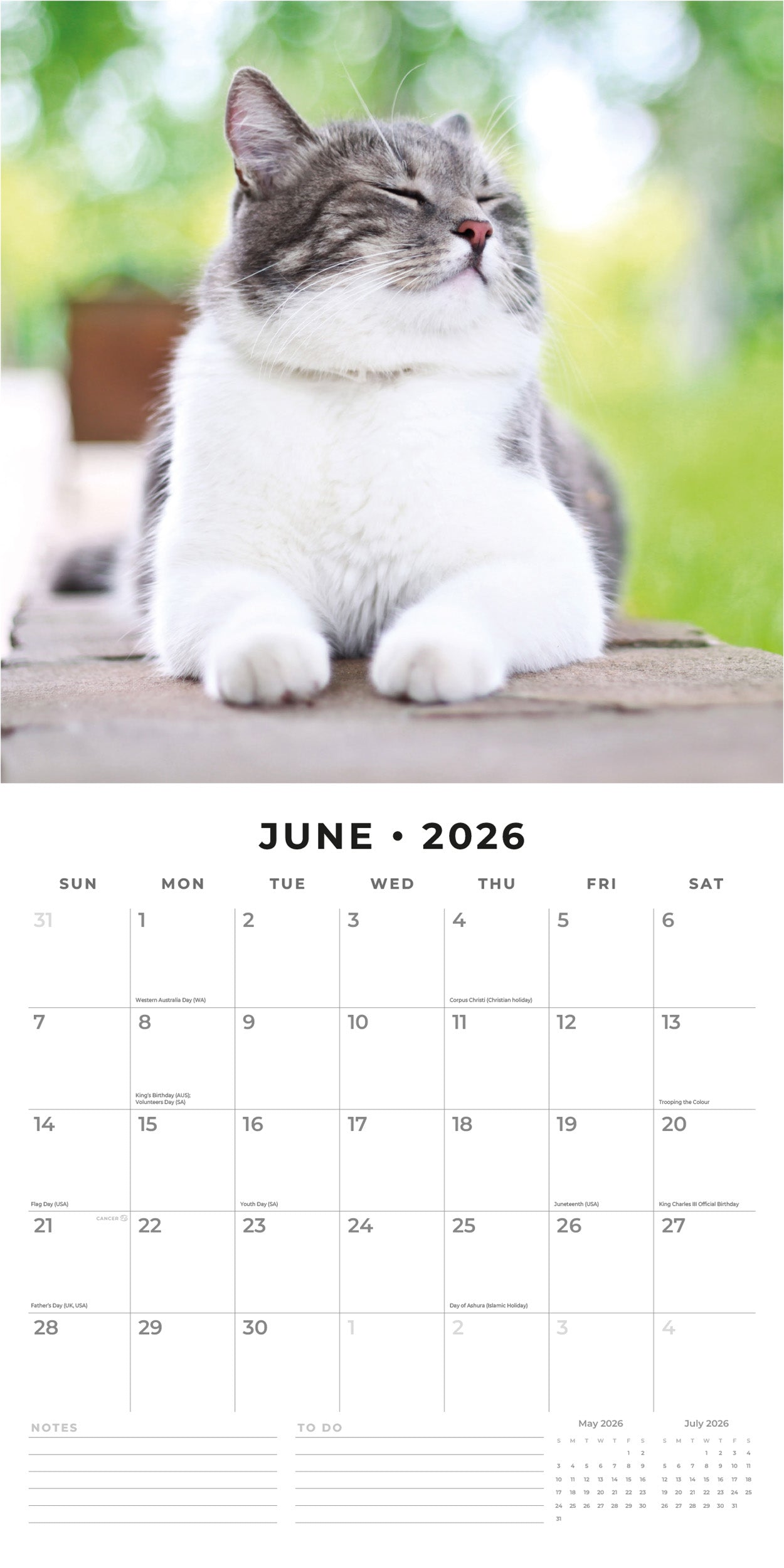 2026 Adorable Cats - Square Wall Calendar