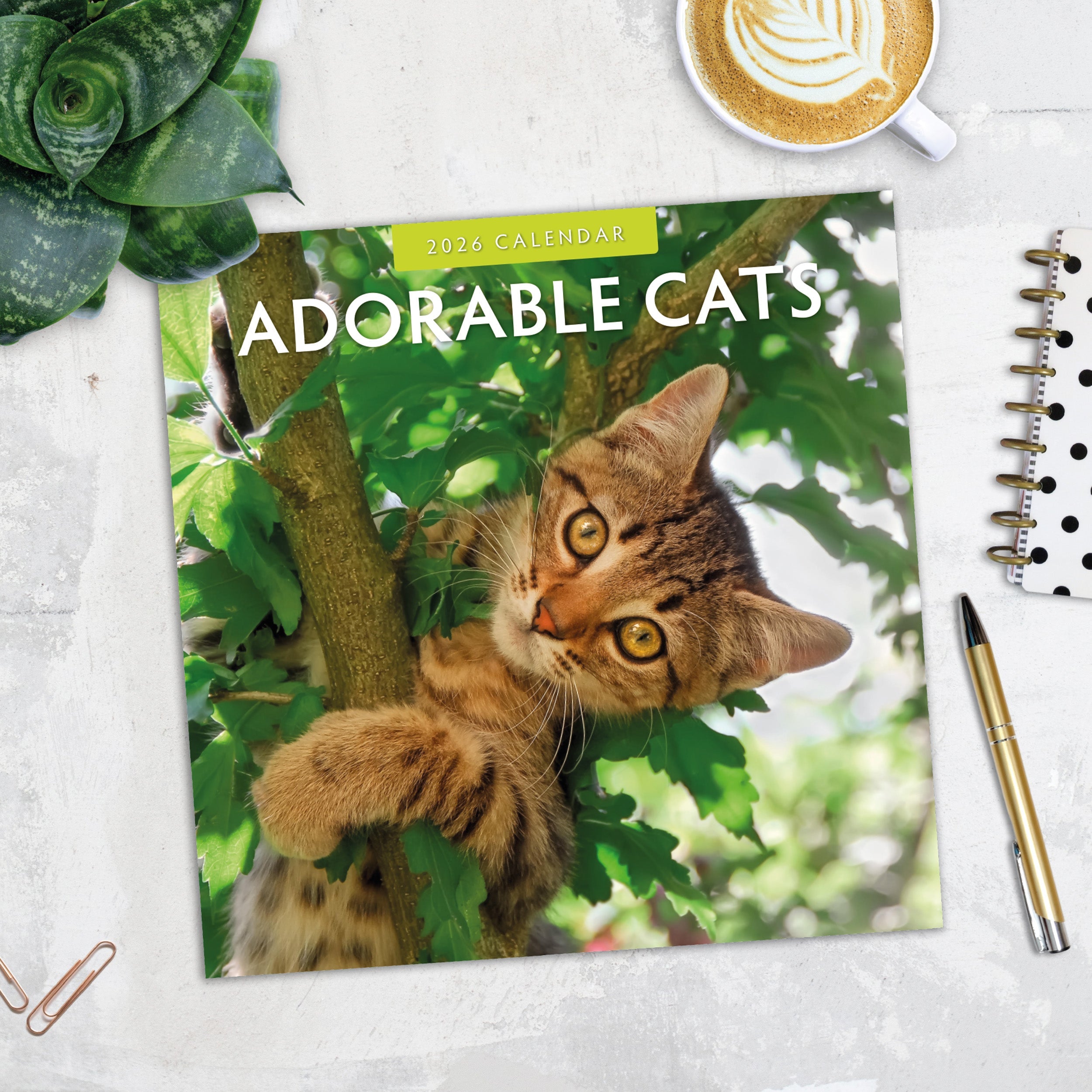 2026 Adorable Cats - Square Wall Calendar